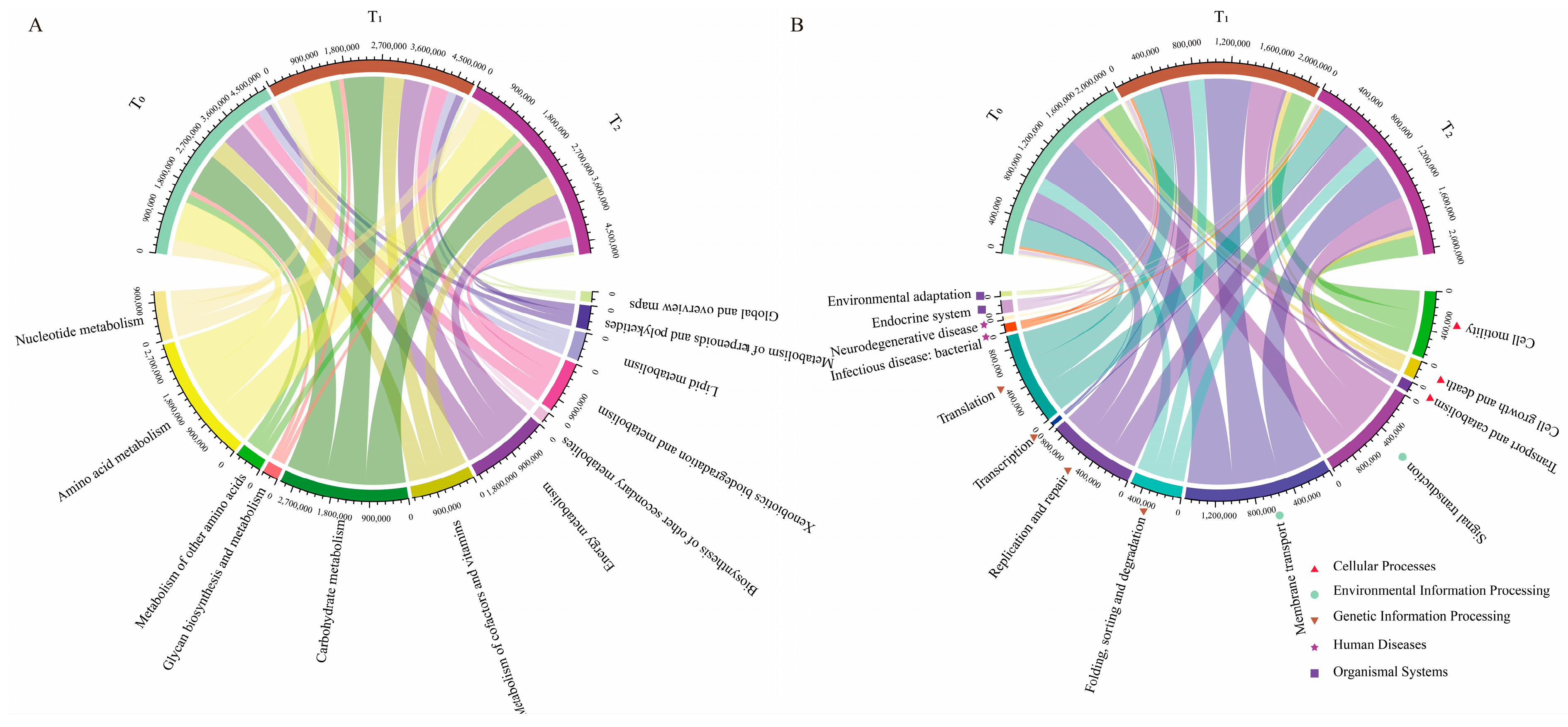 Microorganisms 12 02399 g005