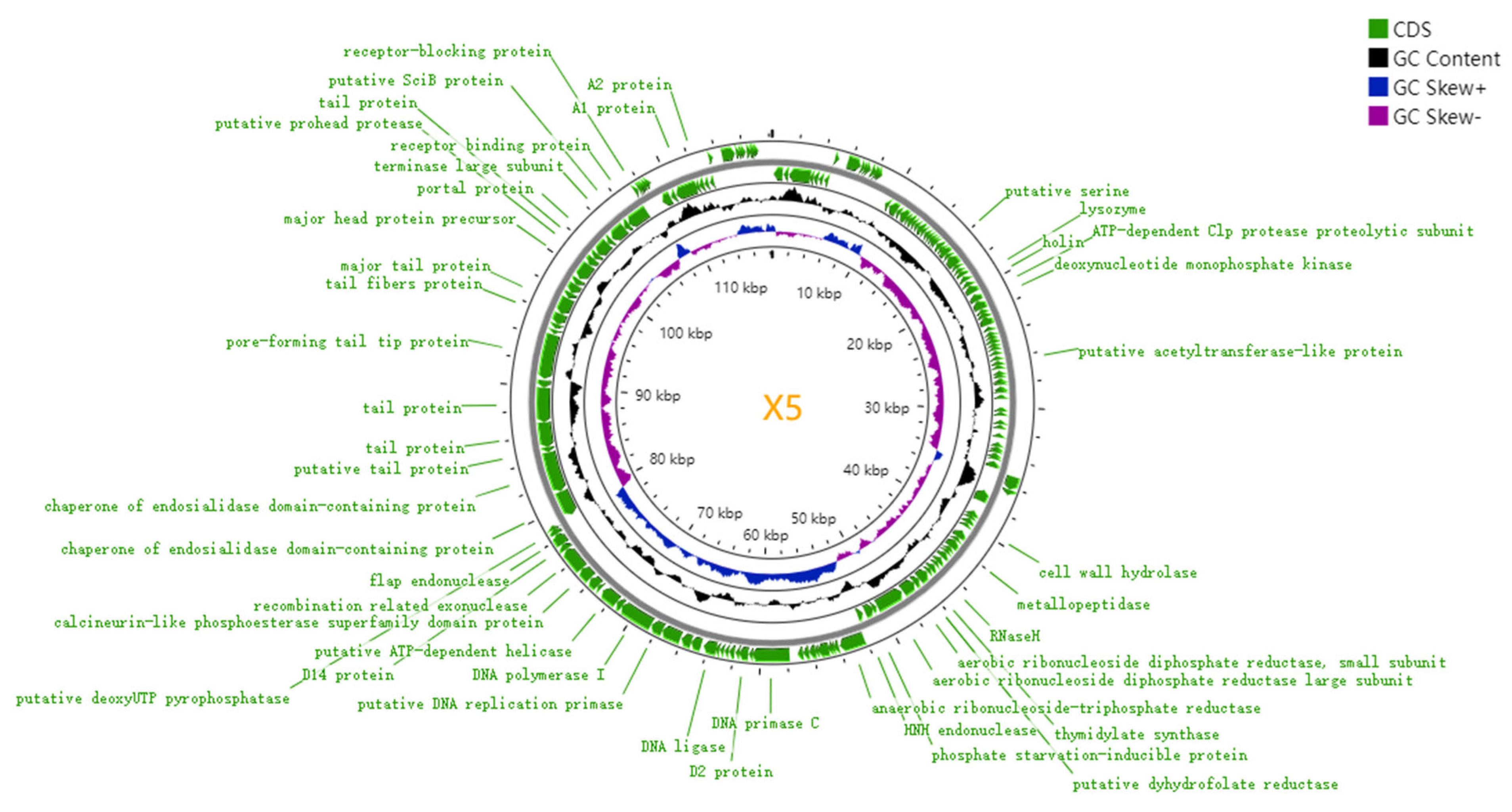 Microorganisms 12 02400 g003
