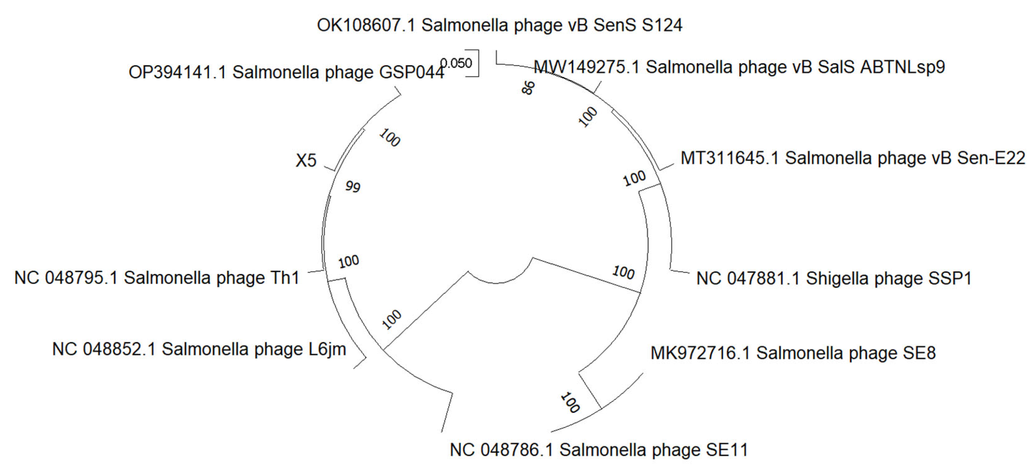 Microorganisms 12 02400 g004