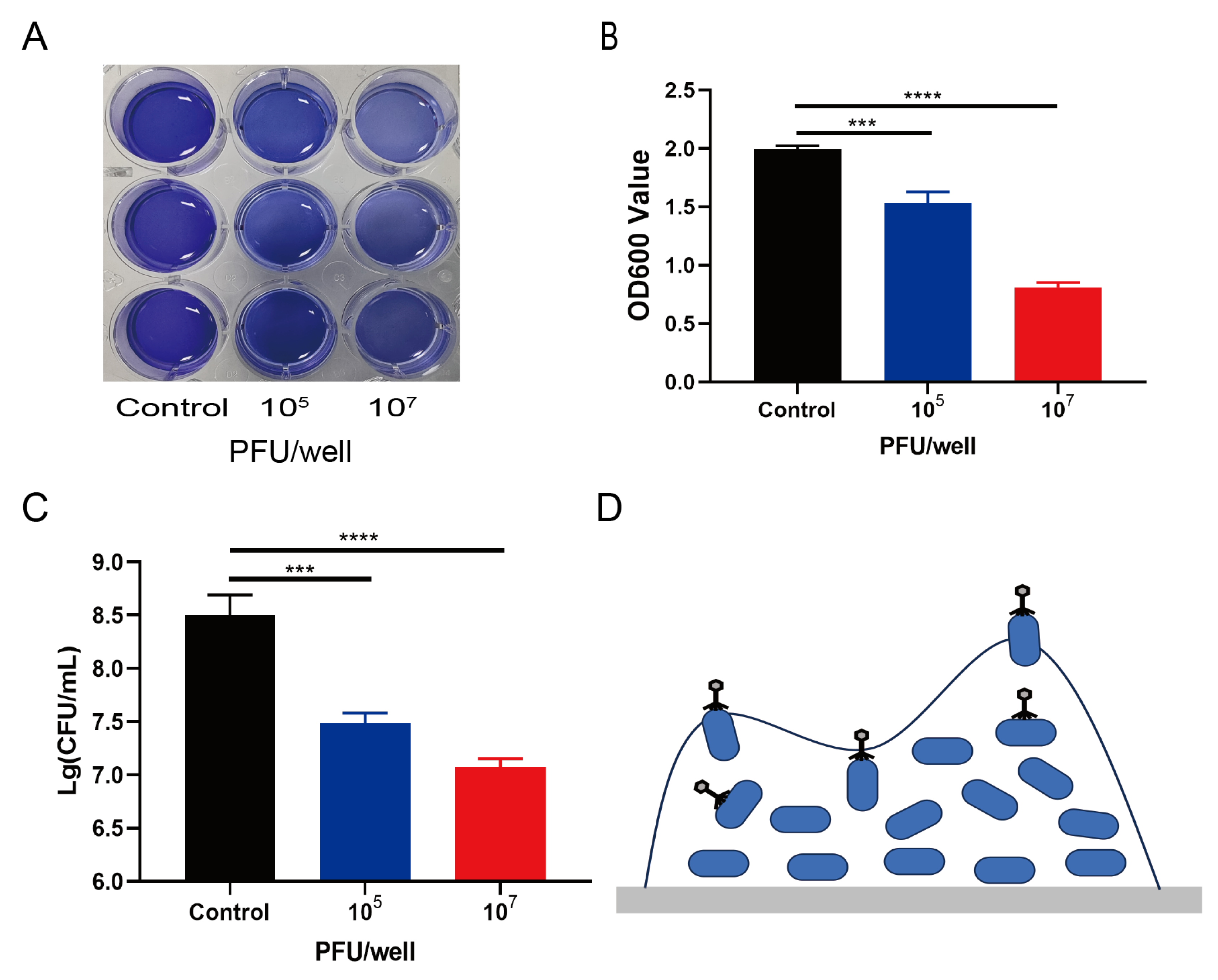 Microorganisms 12 02400 g006