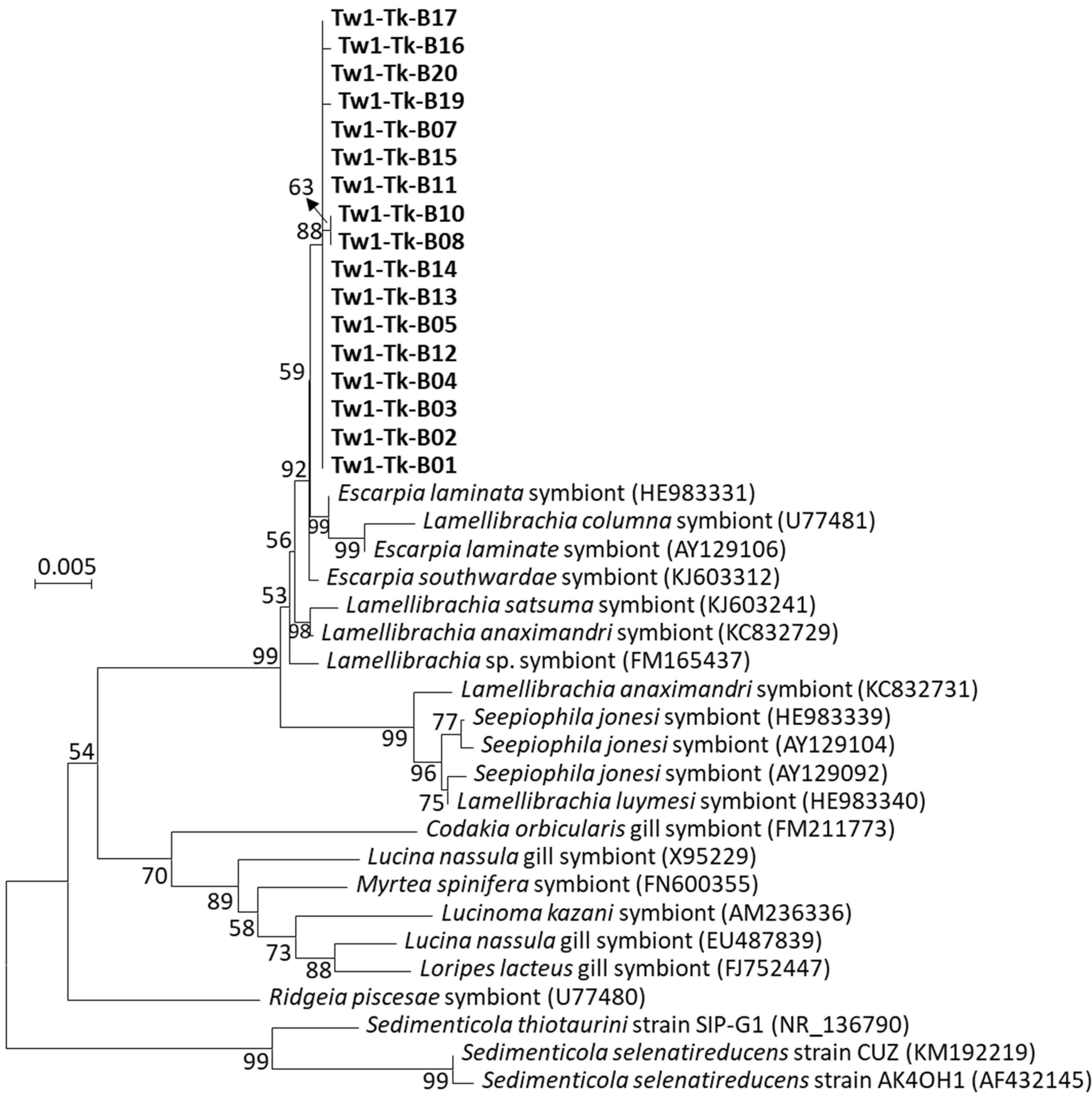 Microorganisms 12 02452 g003