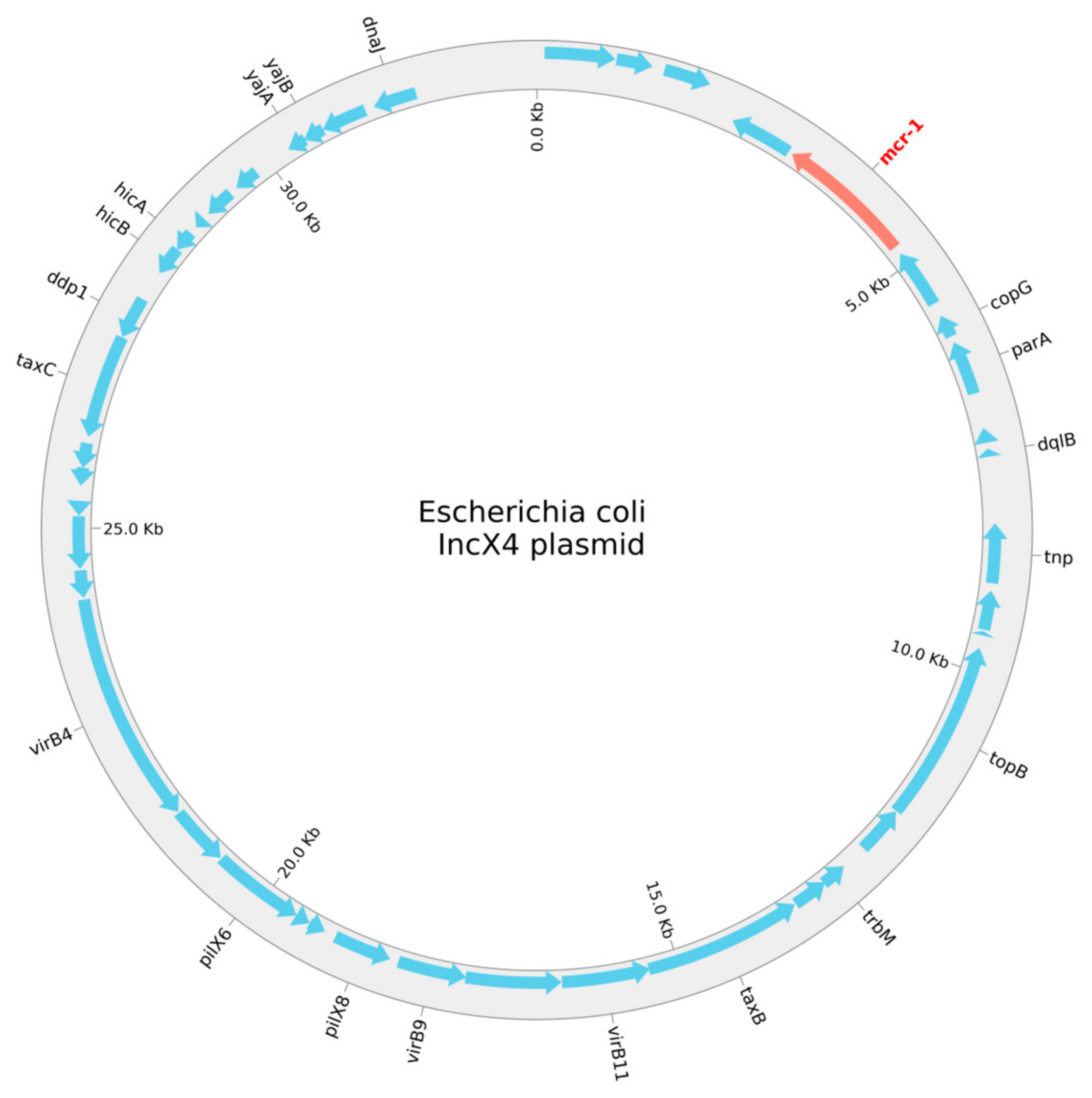 Microorganisms 12 02461 g001