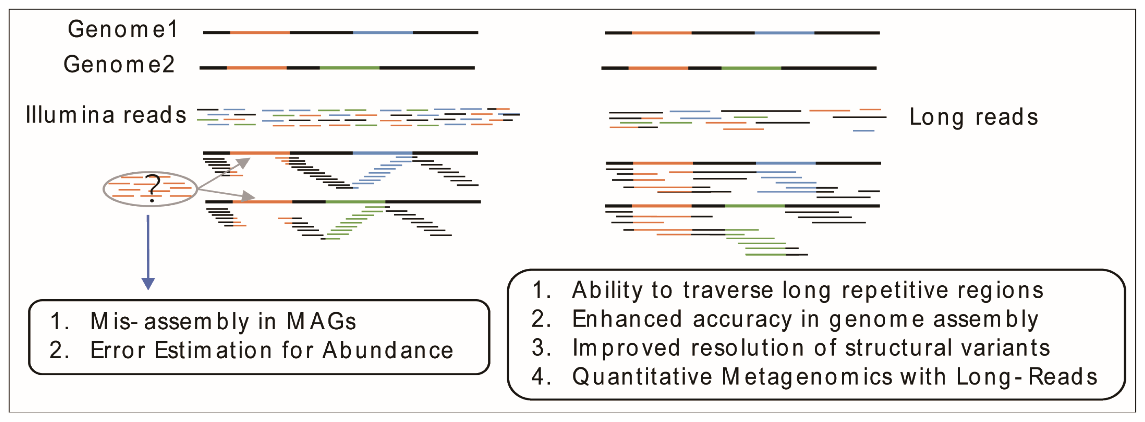 Unlocking the Potential of Metagenomics with the PacBio High-Fidelity ...