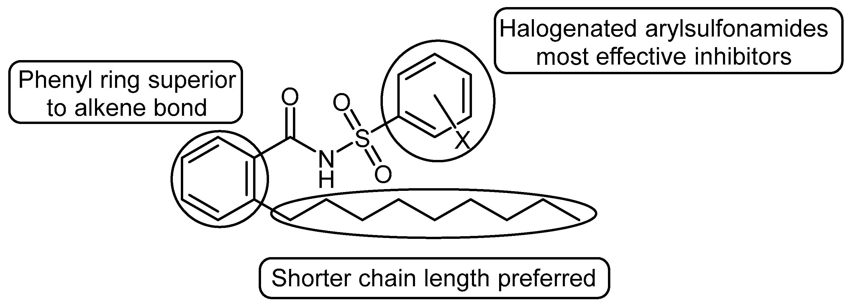 Microorganisms 12 02496 g009