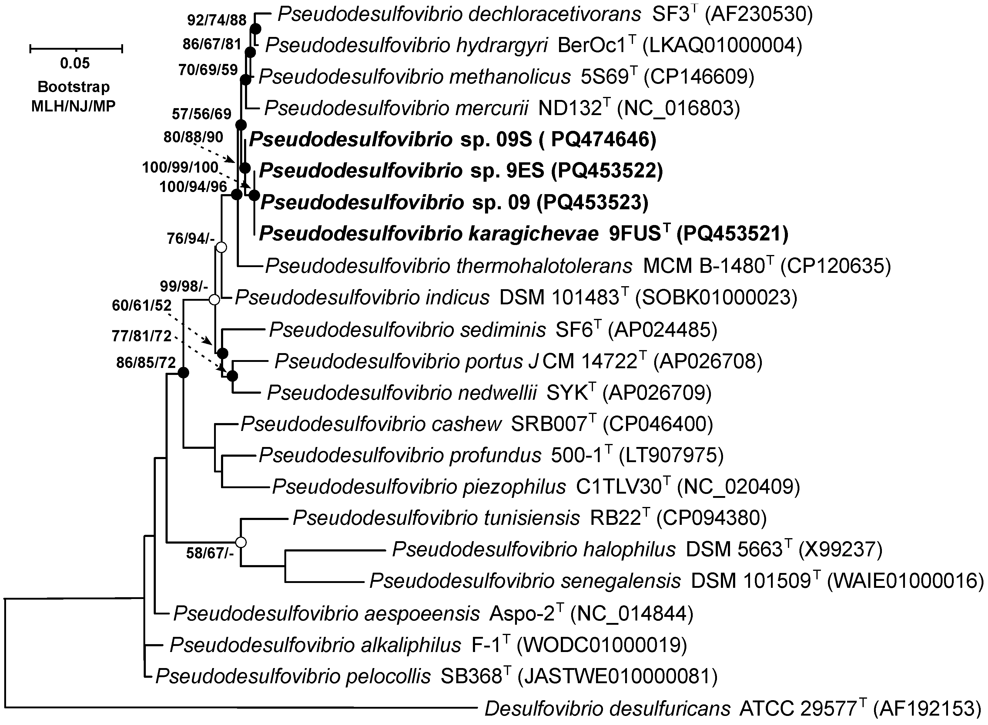 Microorganisms 12 02552 g002