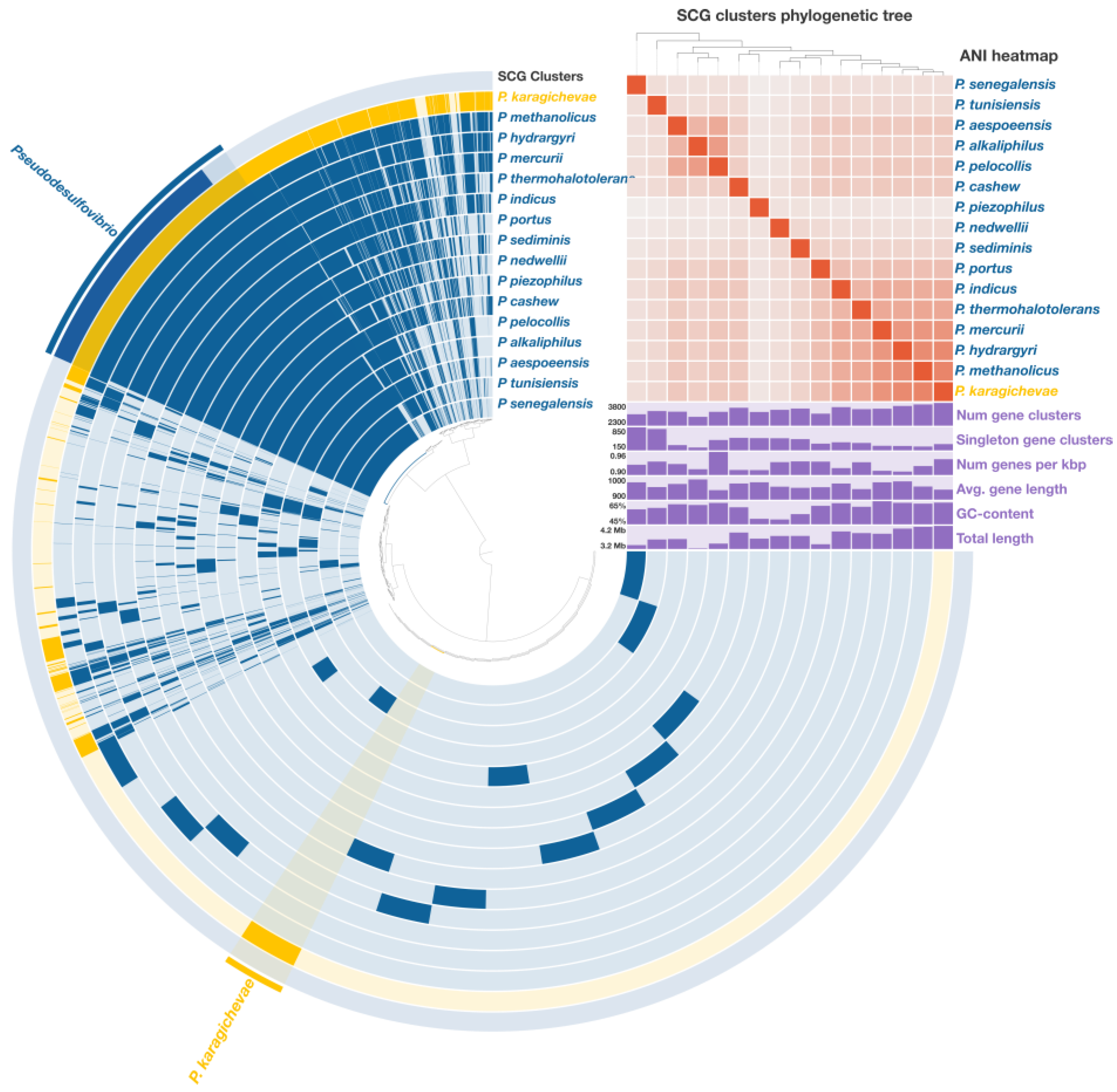 Microorganisms 12 02552 g004