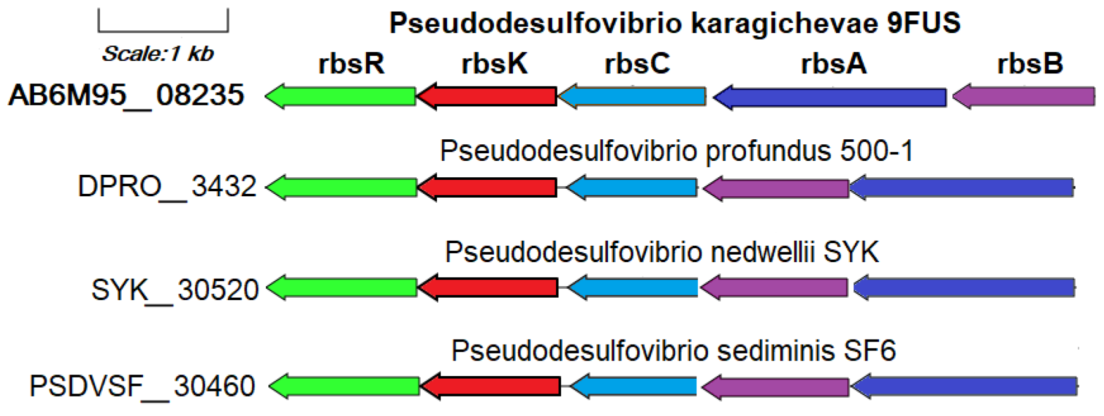 Microorganisms 12 02552 g006