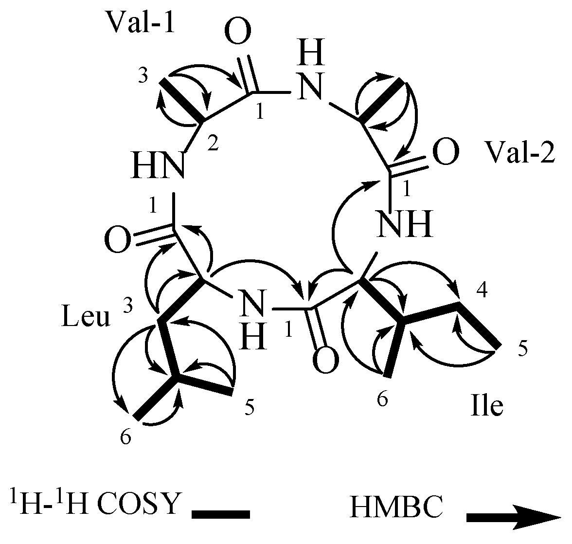 Microorganisms 12 02585 g002 Microorganisms 12 02585 g002