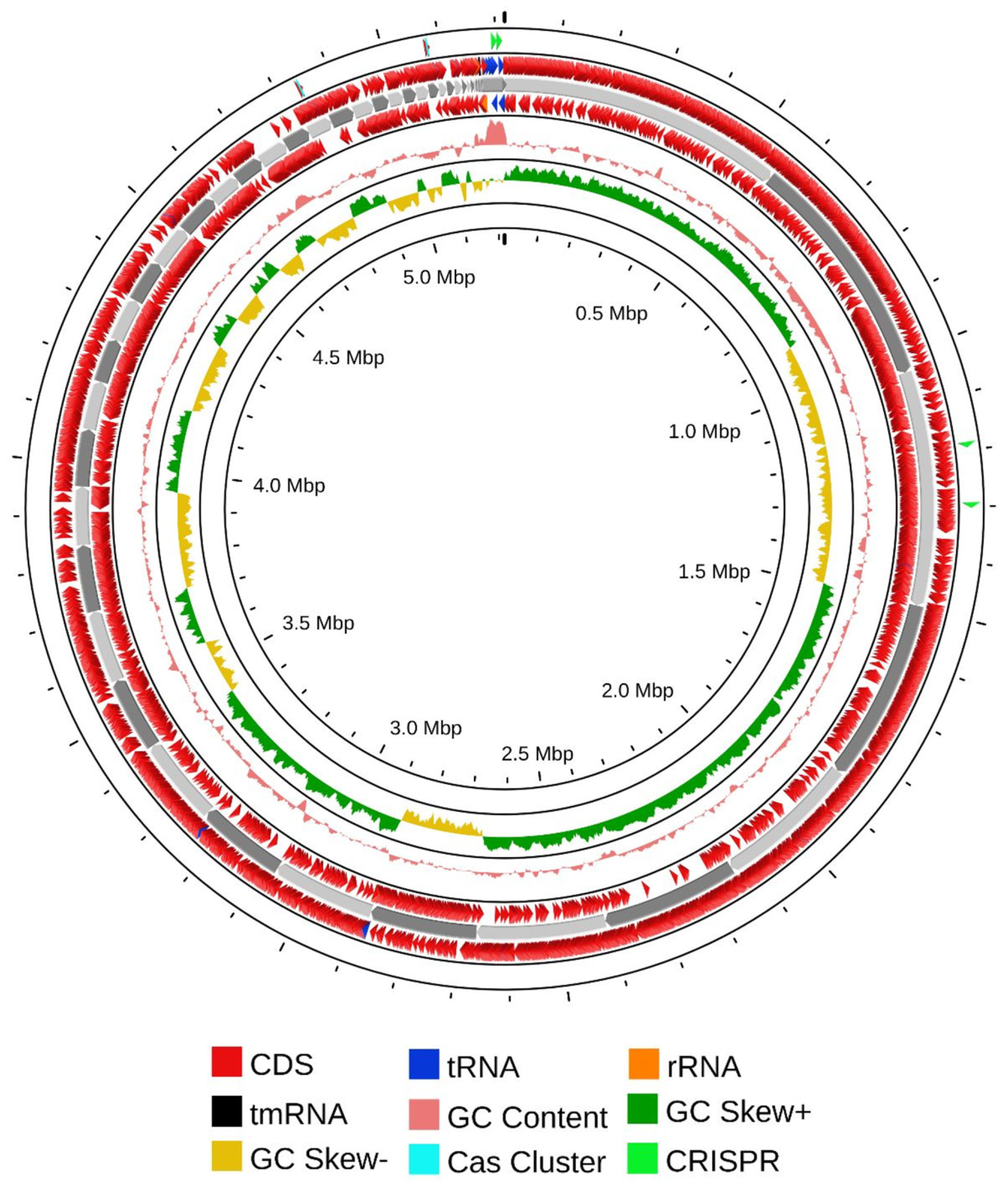 Microorganisms 12 02633 g005