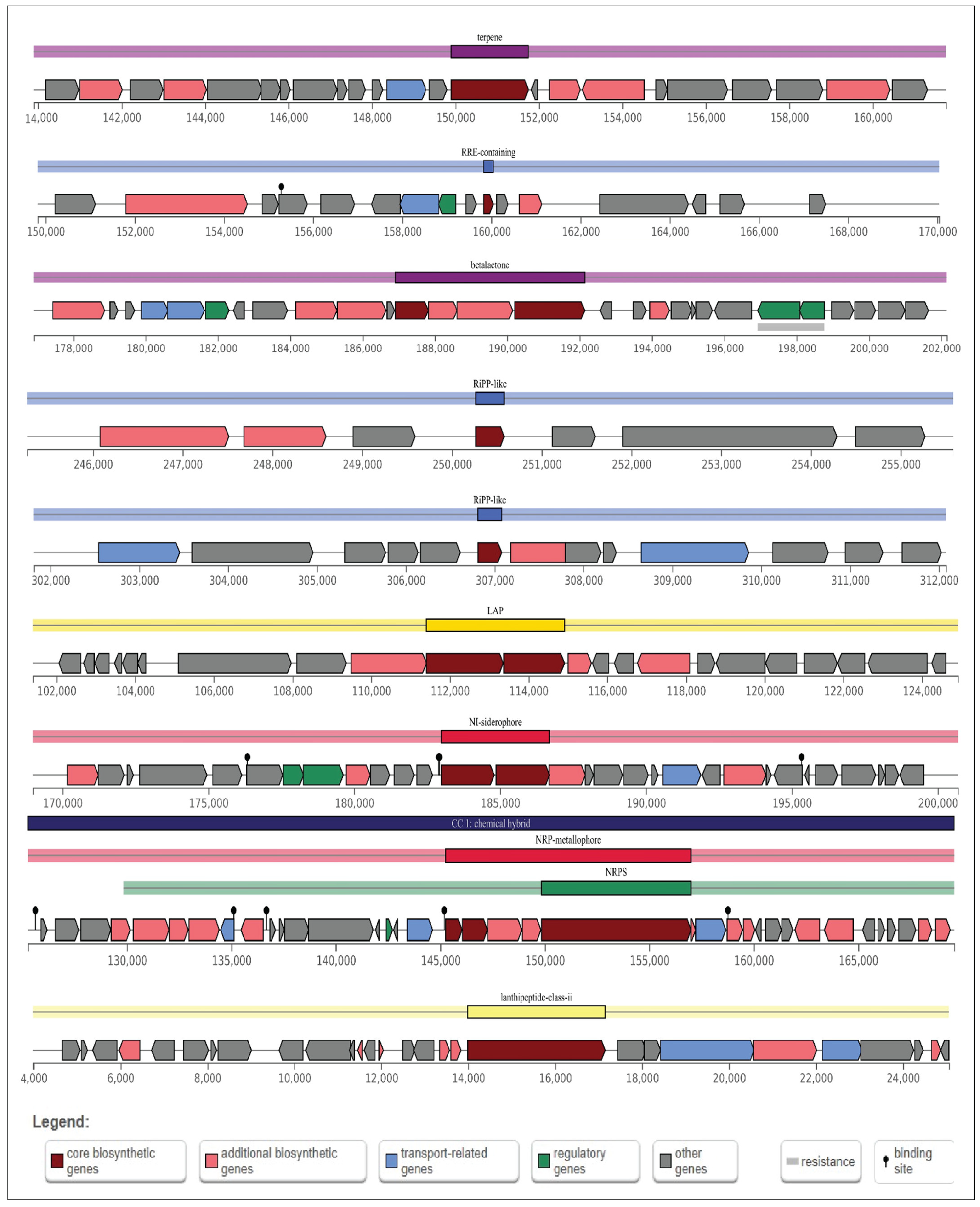 Microorganisms 12 02633 g010