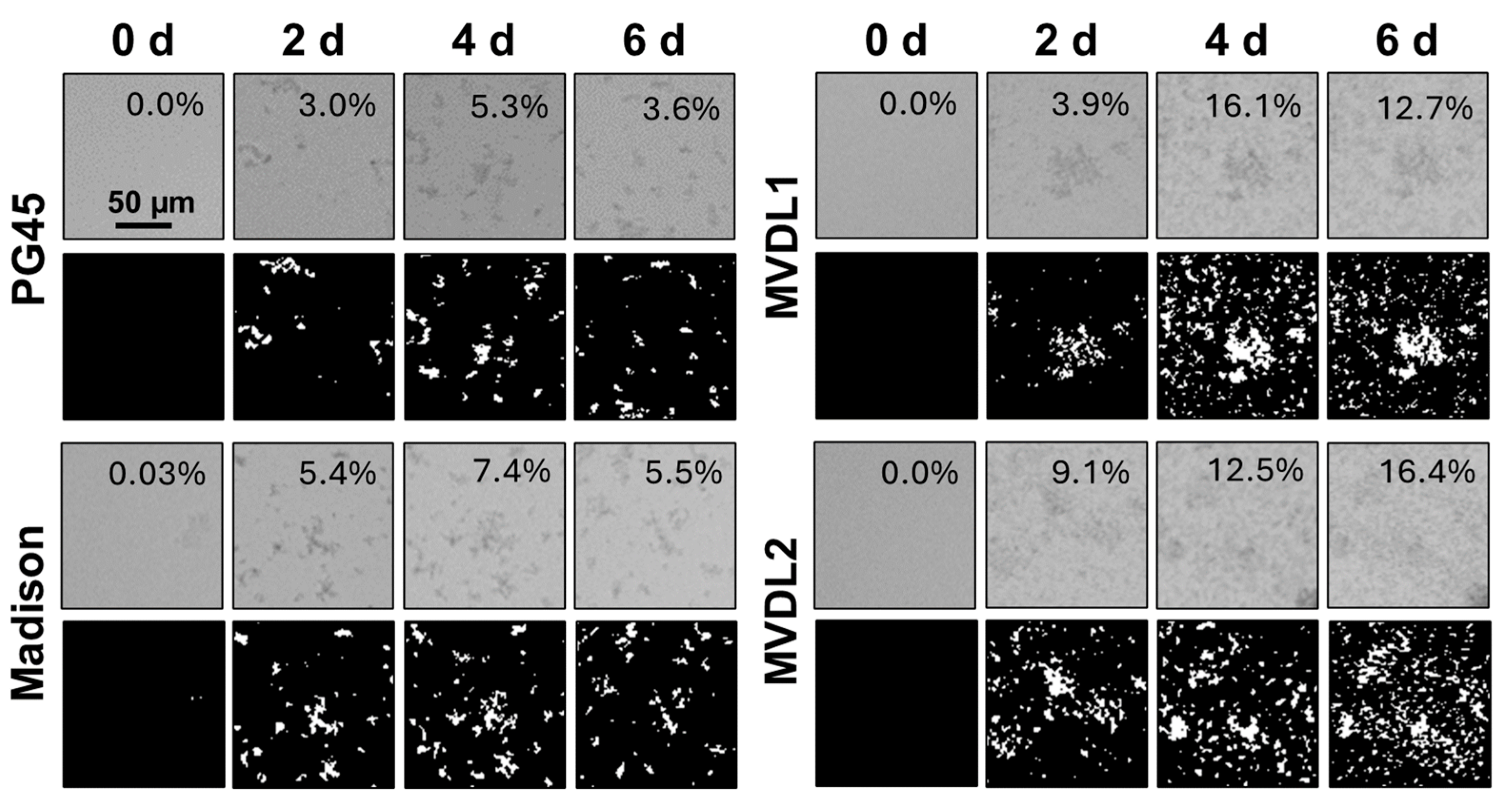Microorganisms 12 02650 g002