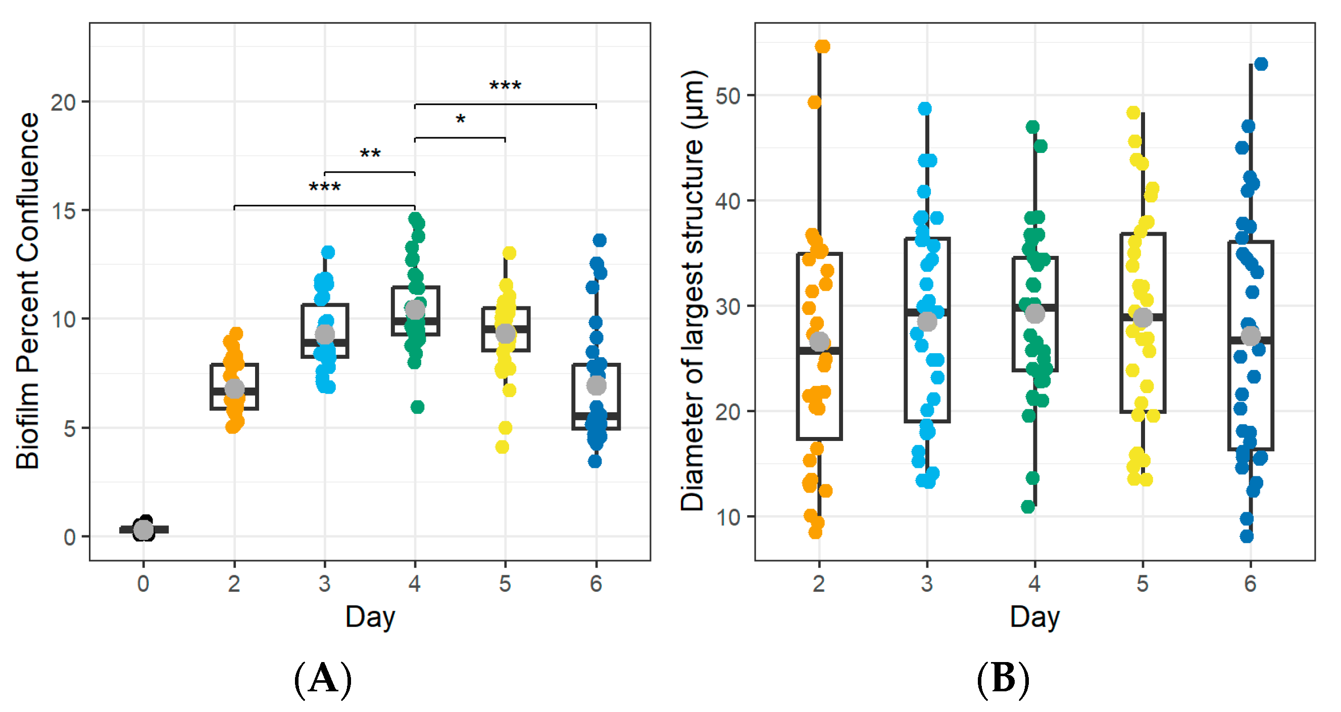 Microorganisms 12 02650 g003