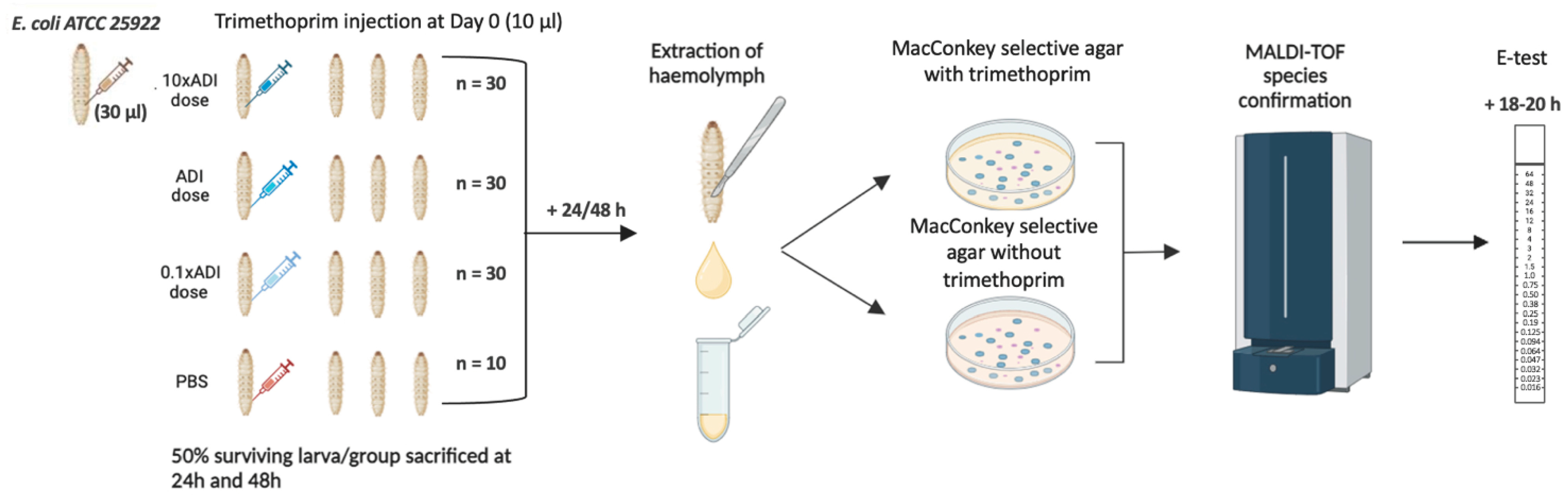 Microorganisms 13 00003 g001
