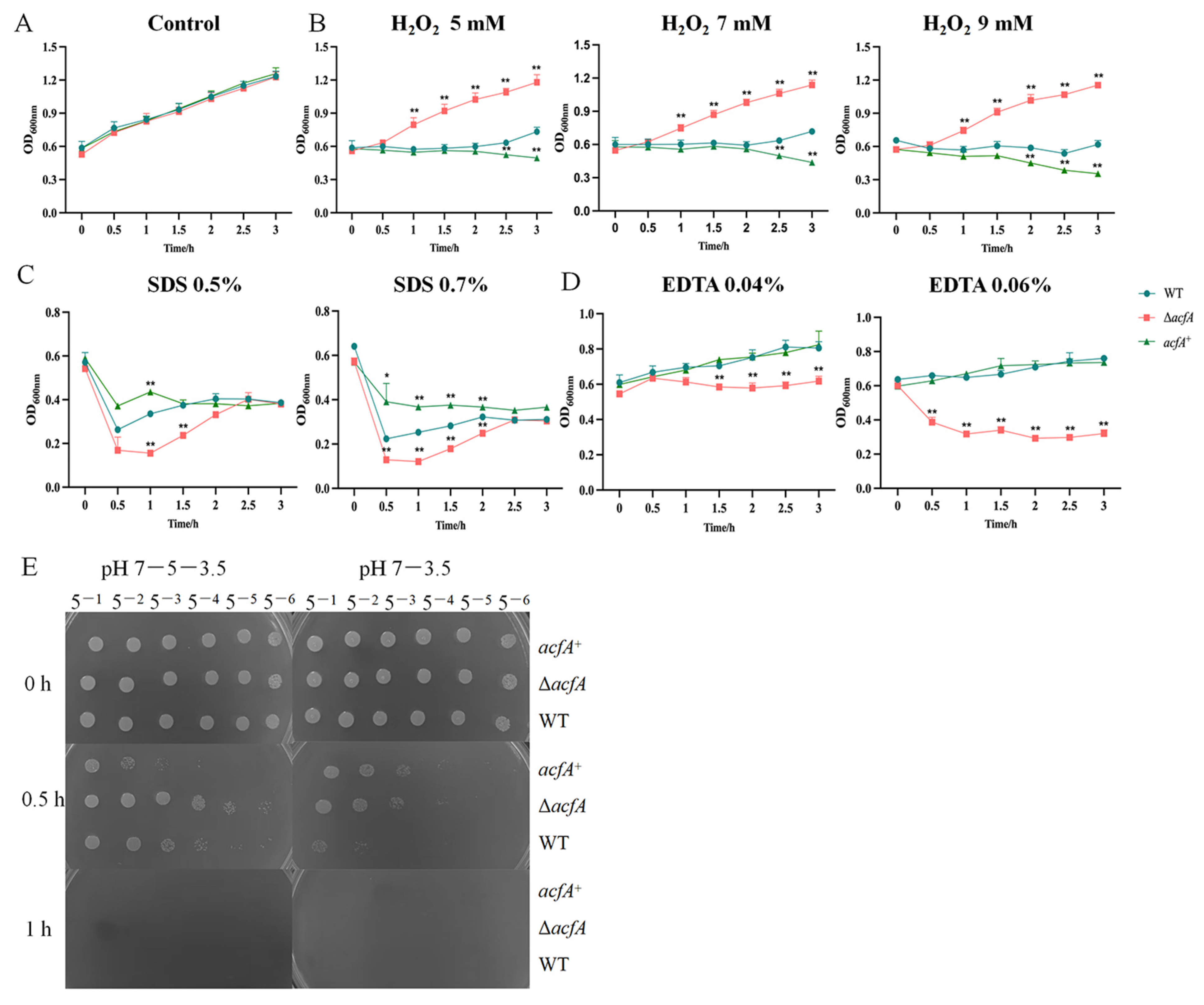 Microorganisms 13 00007 g002