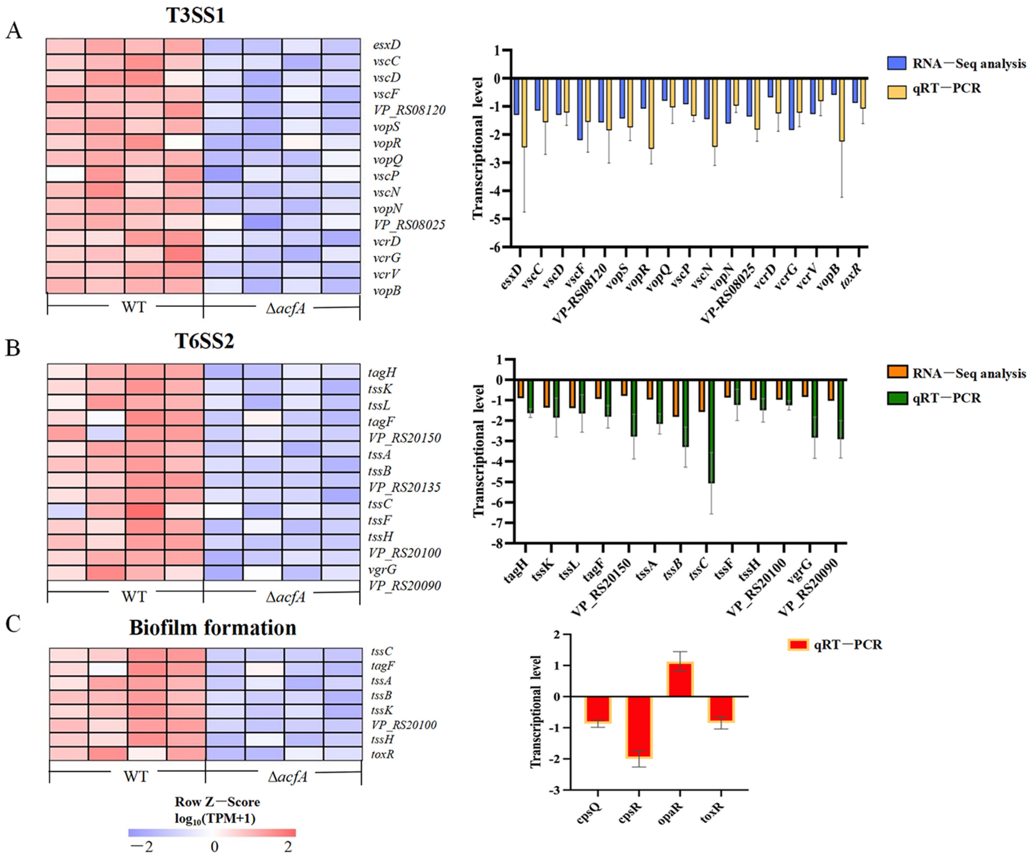 Microorganisms 13 00007 g005