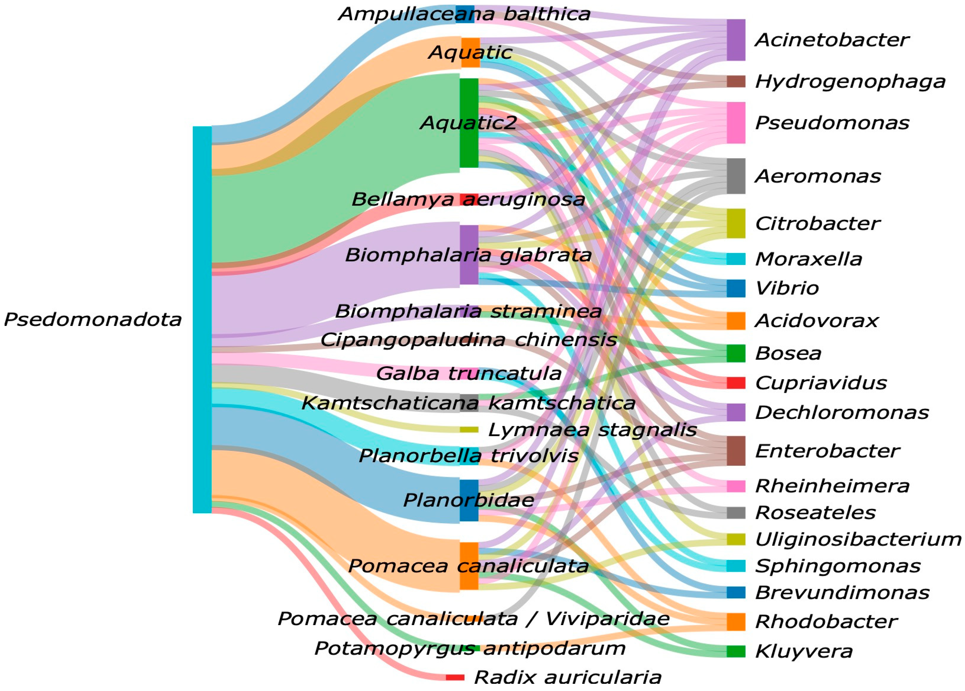 Microorganisms 13 00008 g006 Microorganisms 13 00008 g006