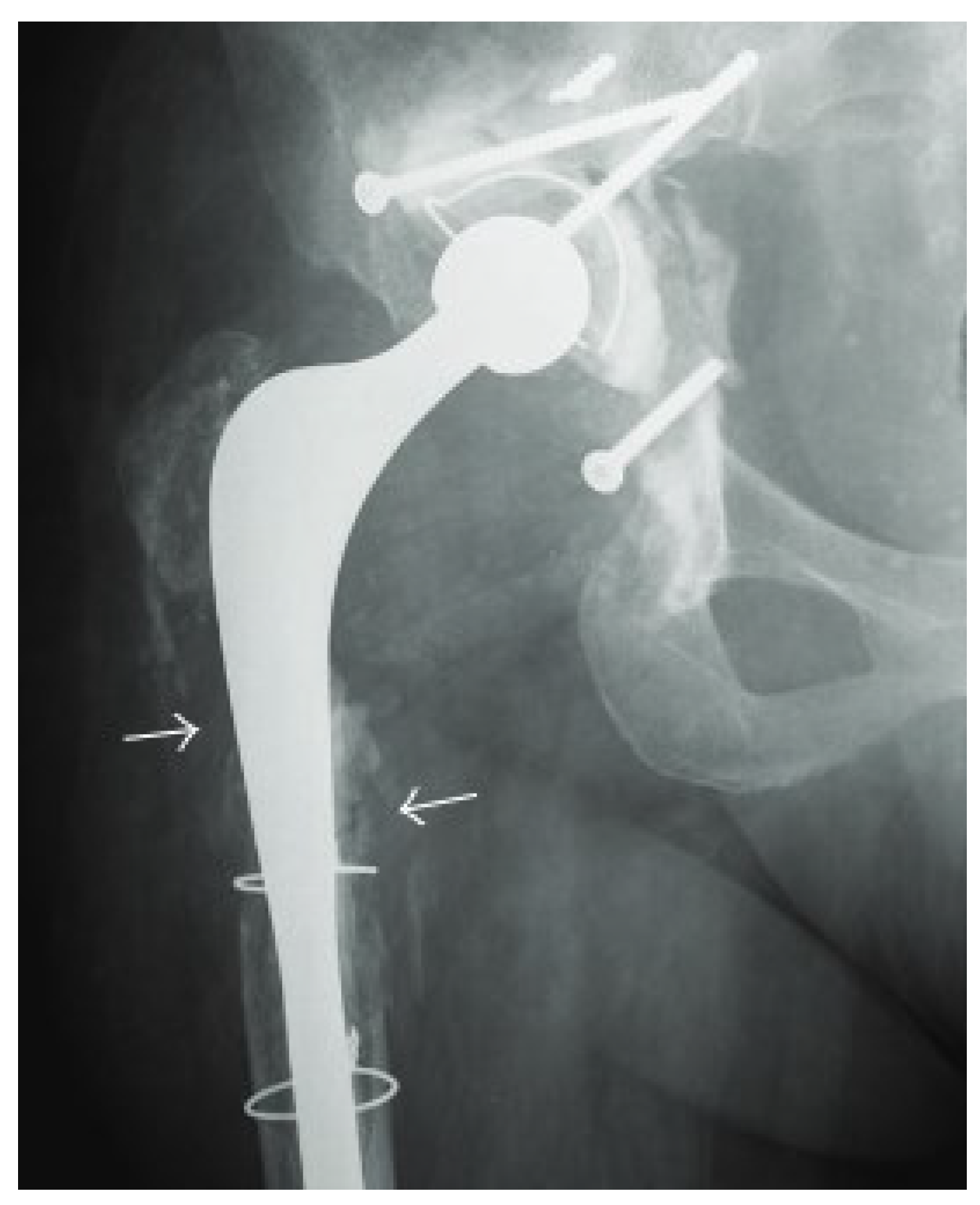 Microorganisms 13 00010 g001