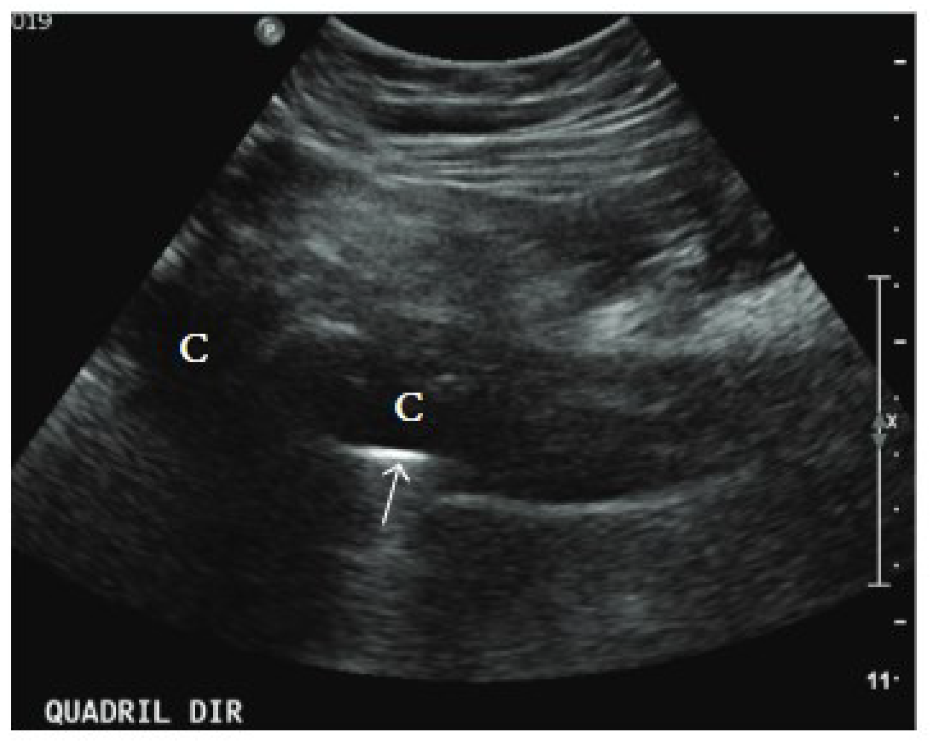Microorganisms 13 00010 g002