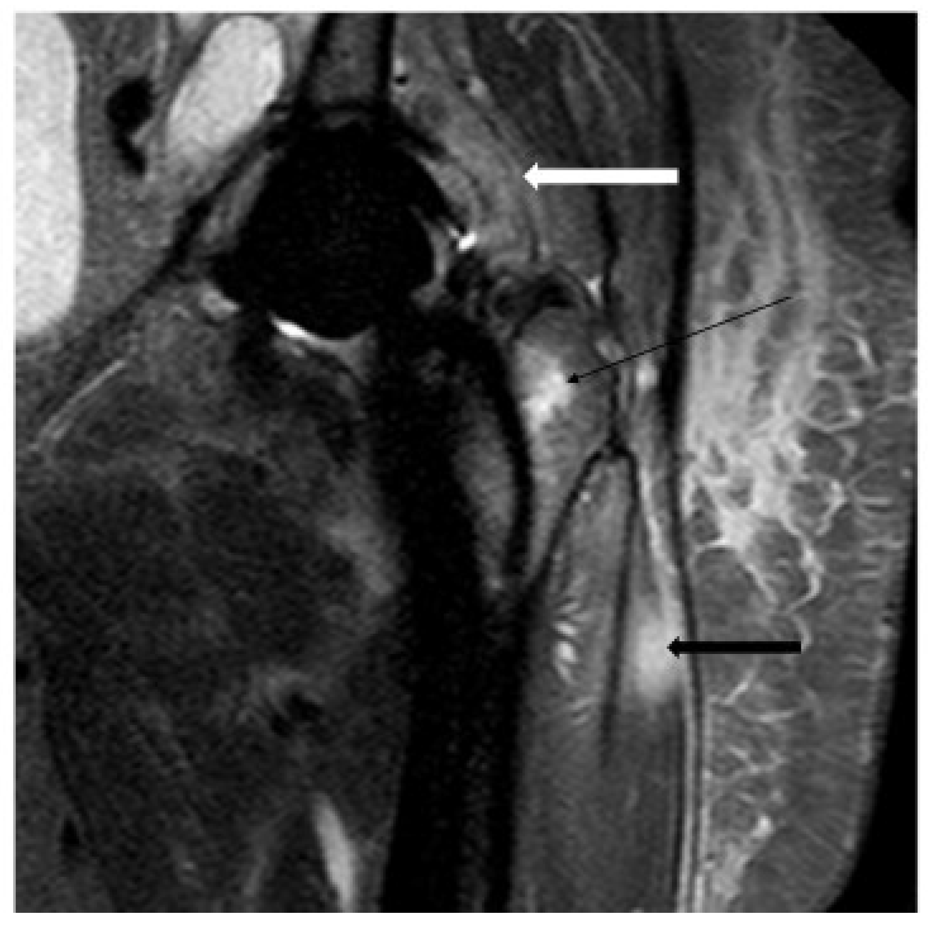 Microorganisms 13 00010 g004