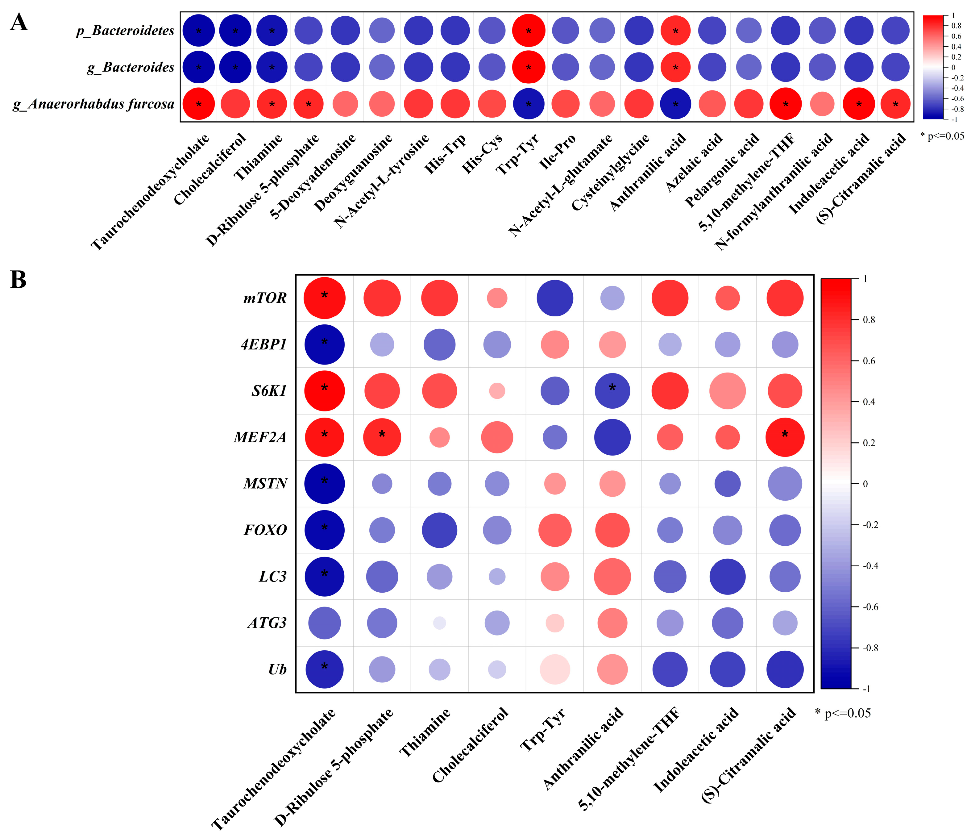 Microorganisms 13 00011 g006