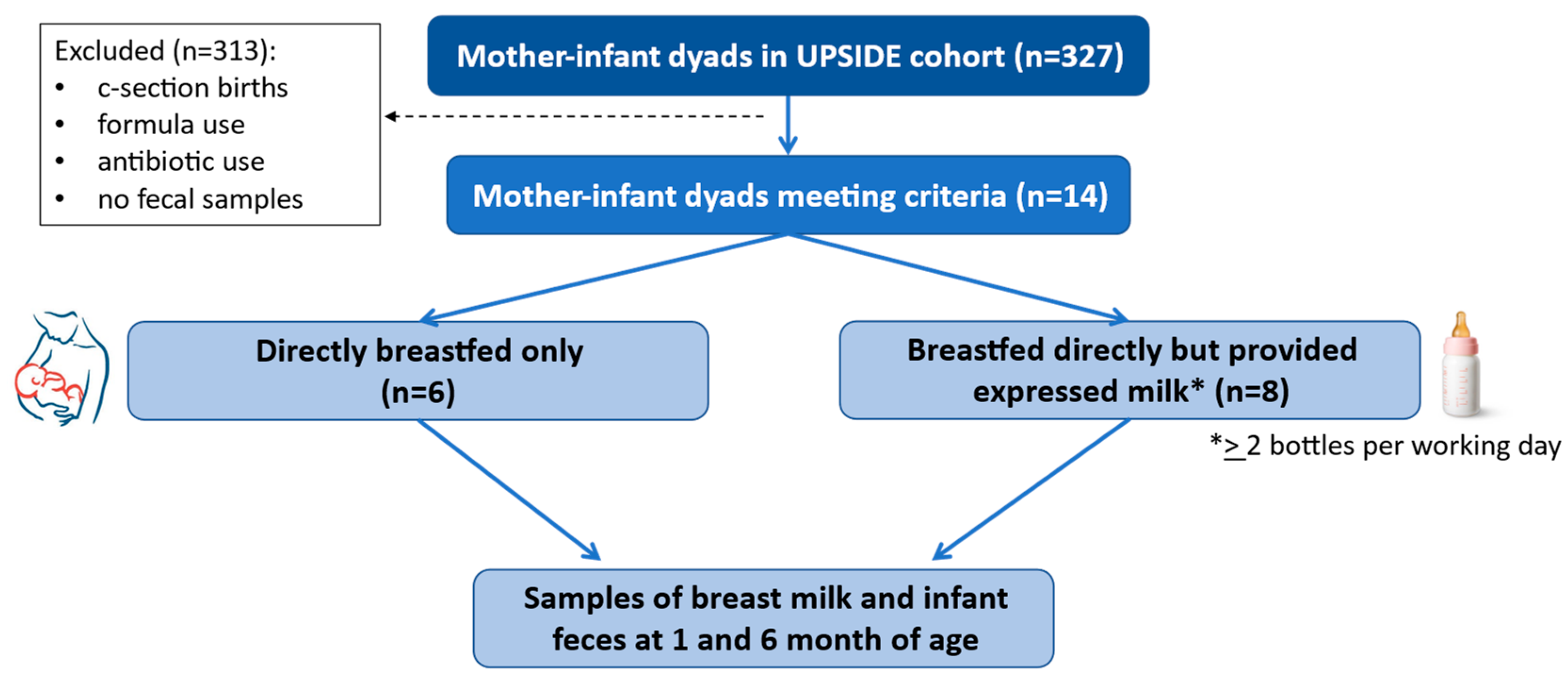 Microorganisms 13 00012 g001