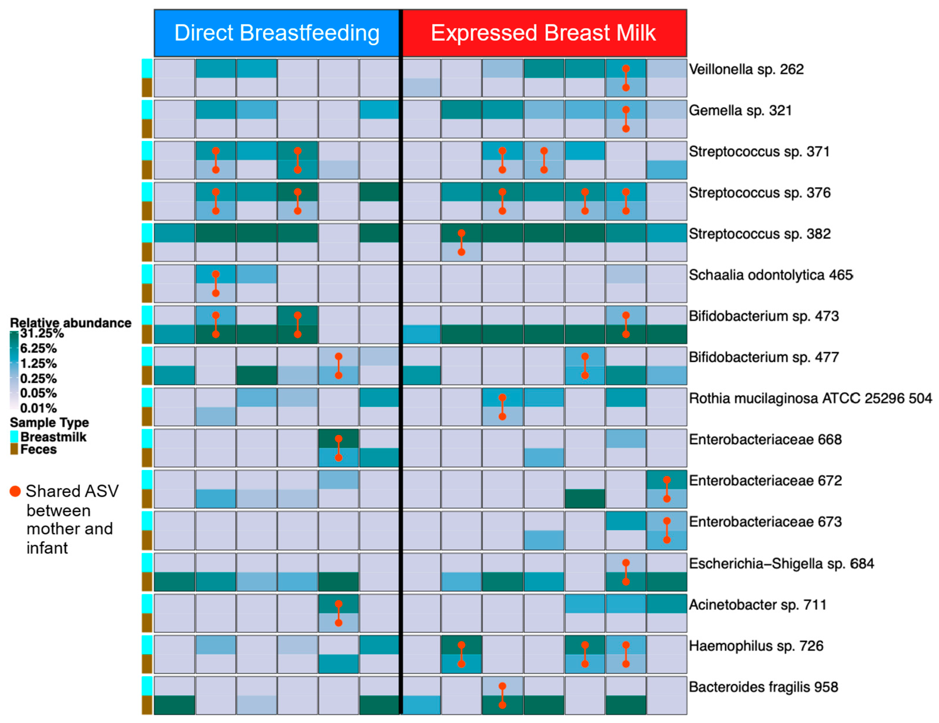 Microorganisms 13 00012 g004