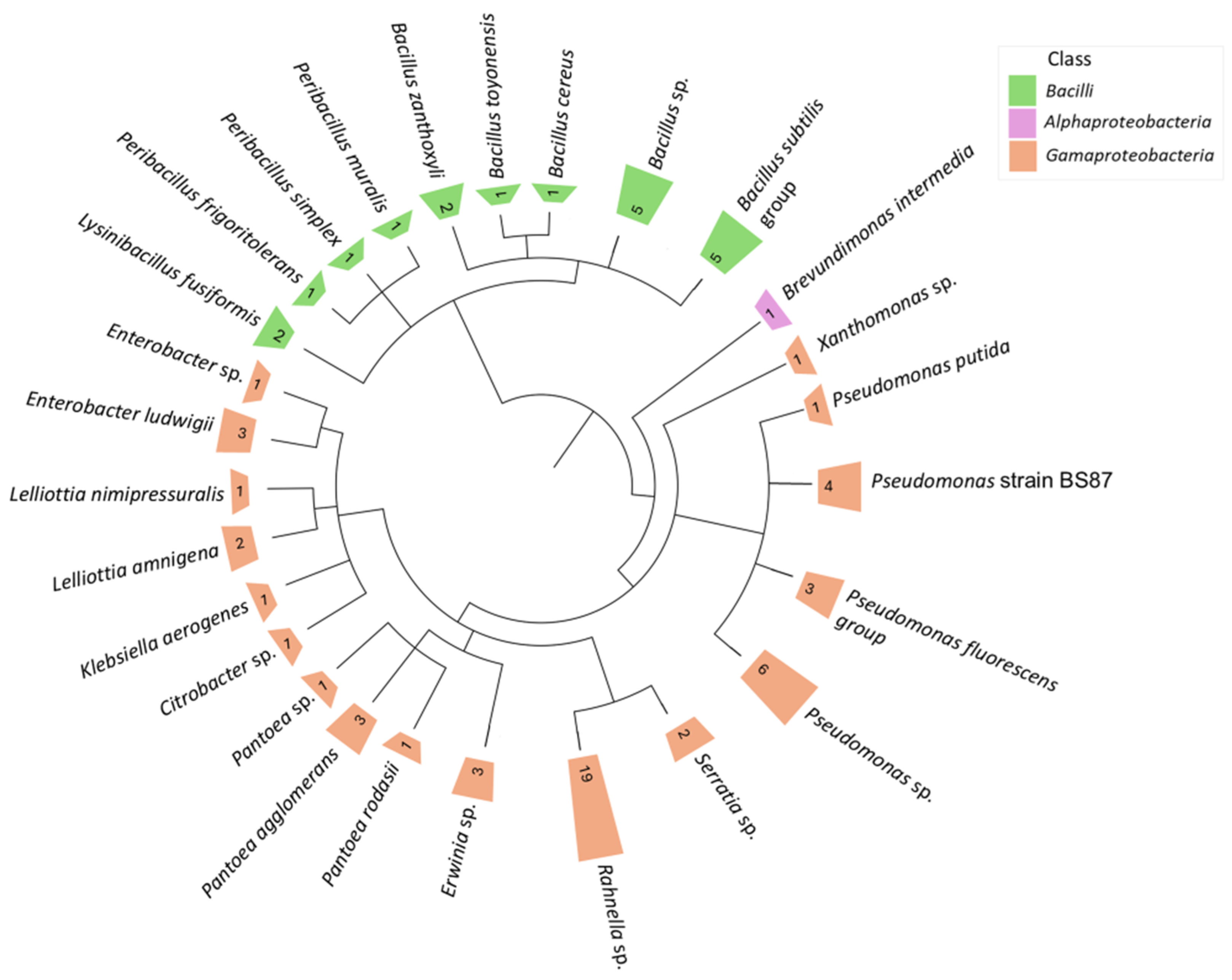 Microorganisms 13 00013 g004