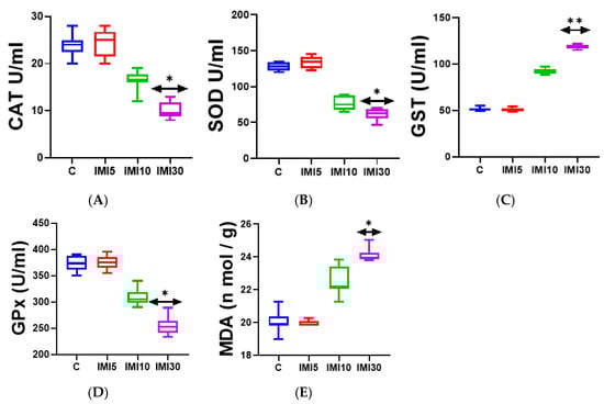 Microorganisms 13 00015 g002