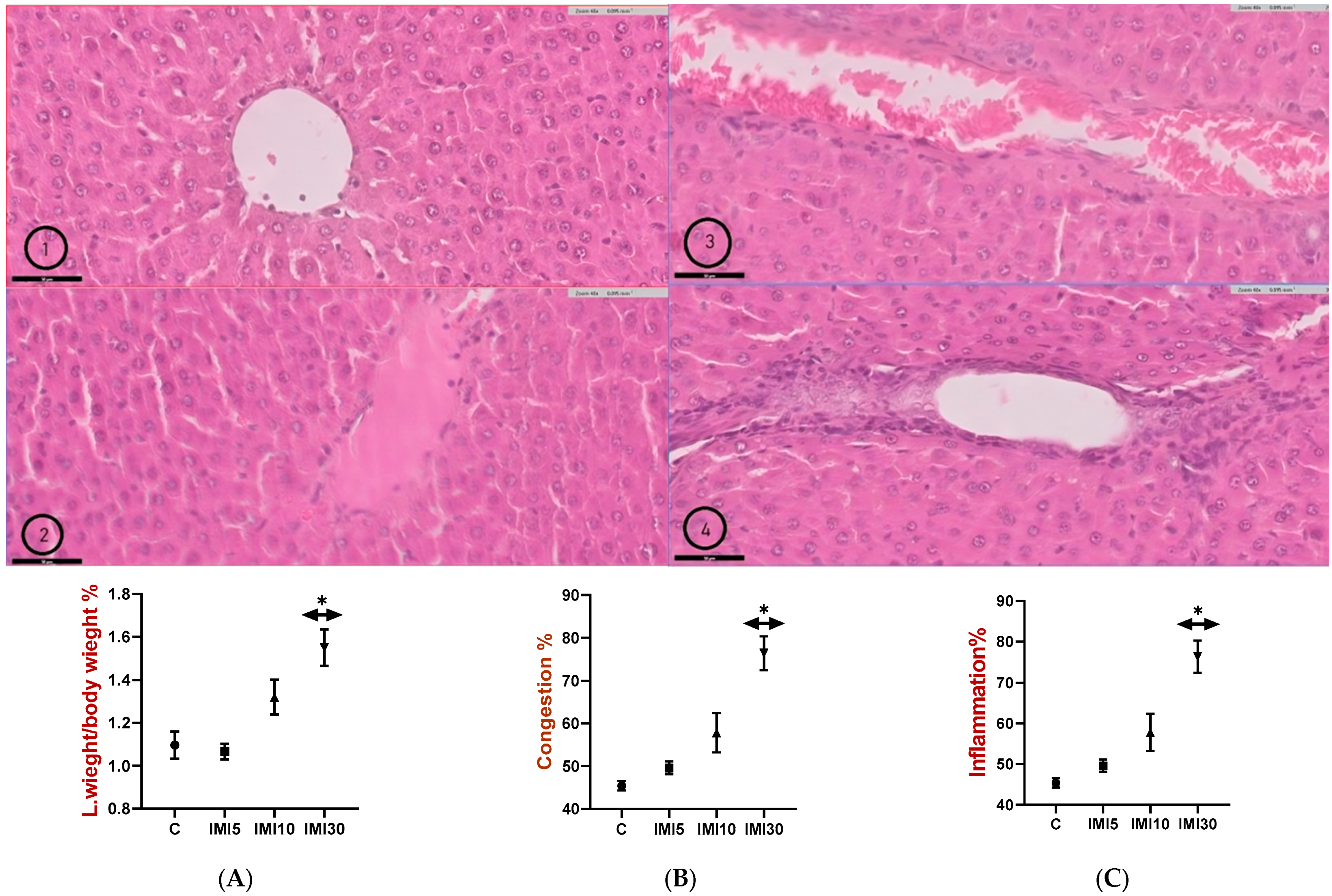 Microorganisms 13 00015 g004