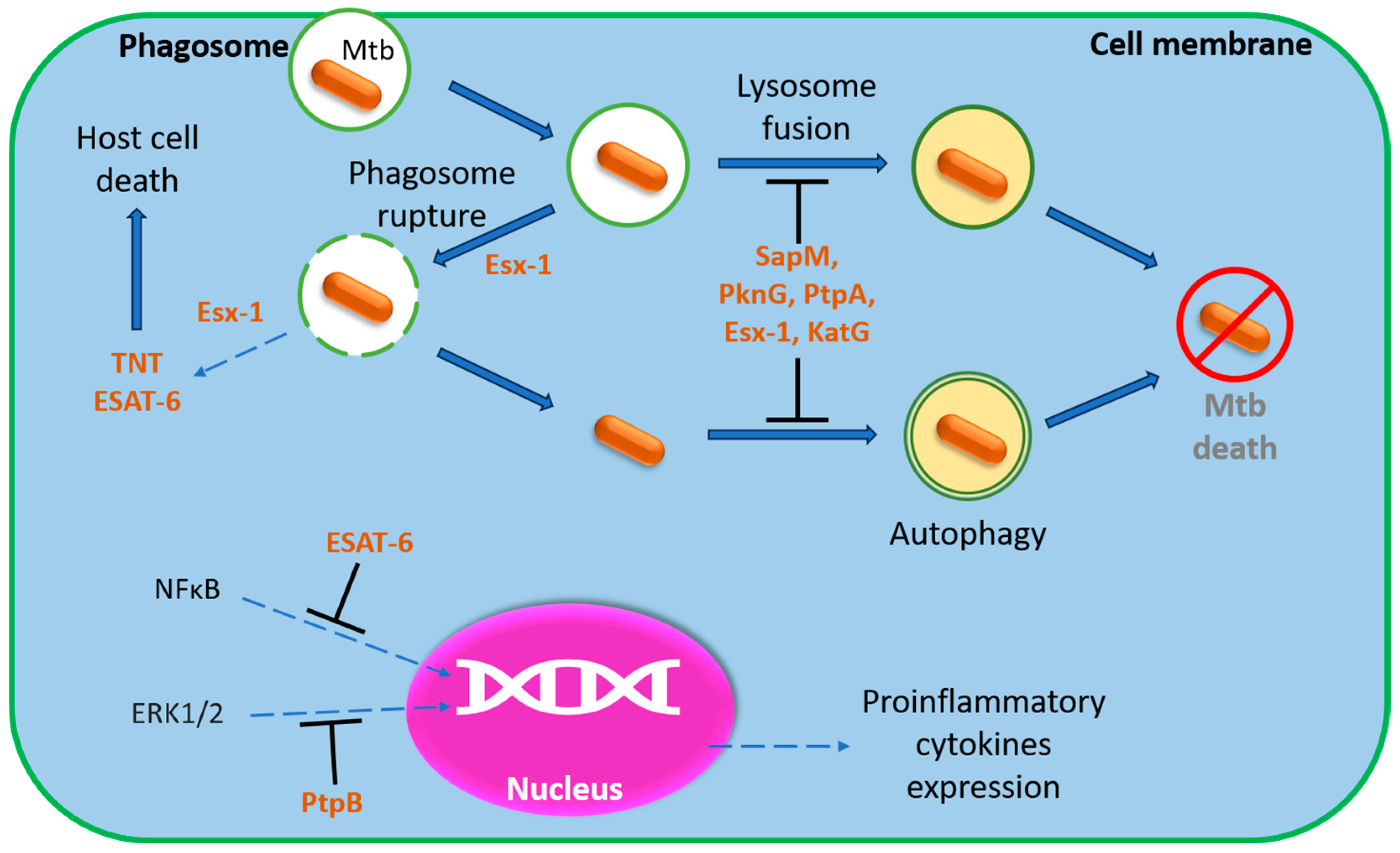 Microorganisms 13 00021 g001