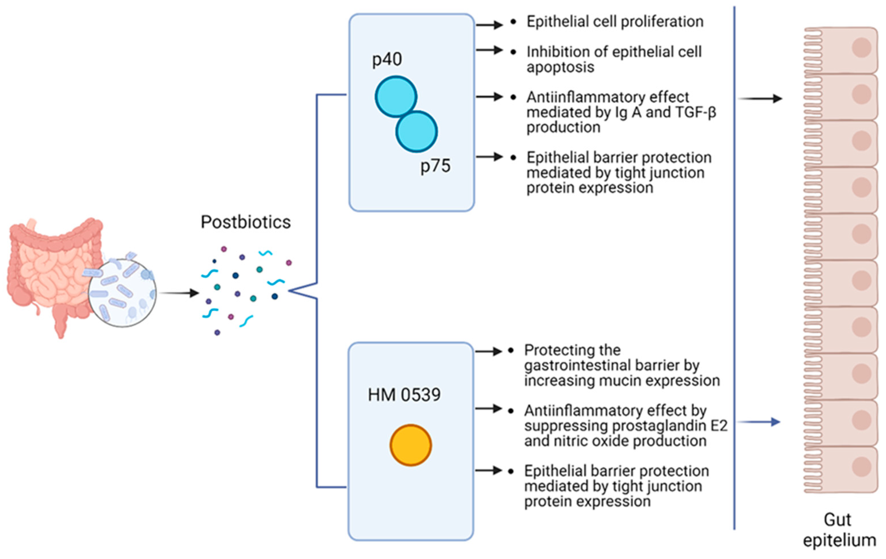 Microorganisms 13 00023 g001