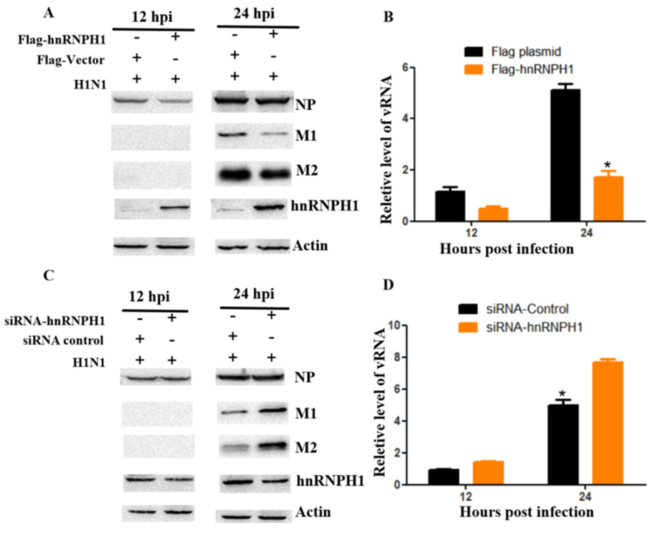 Microorganisms 13 00024 g001