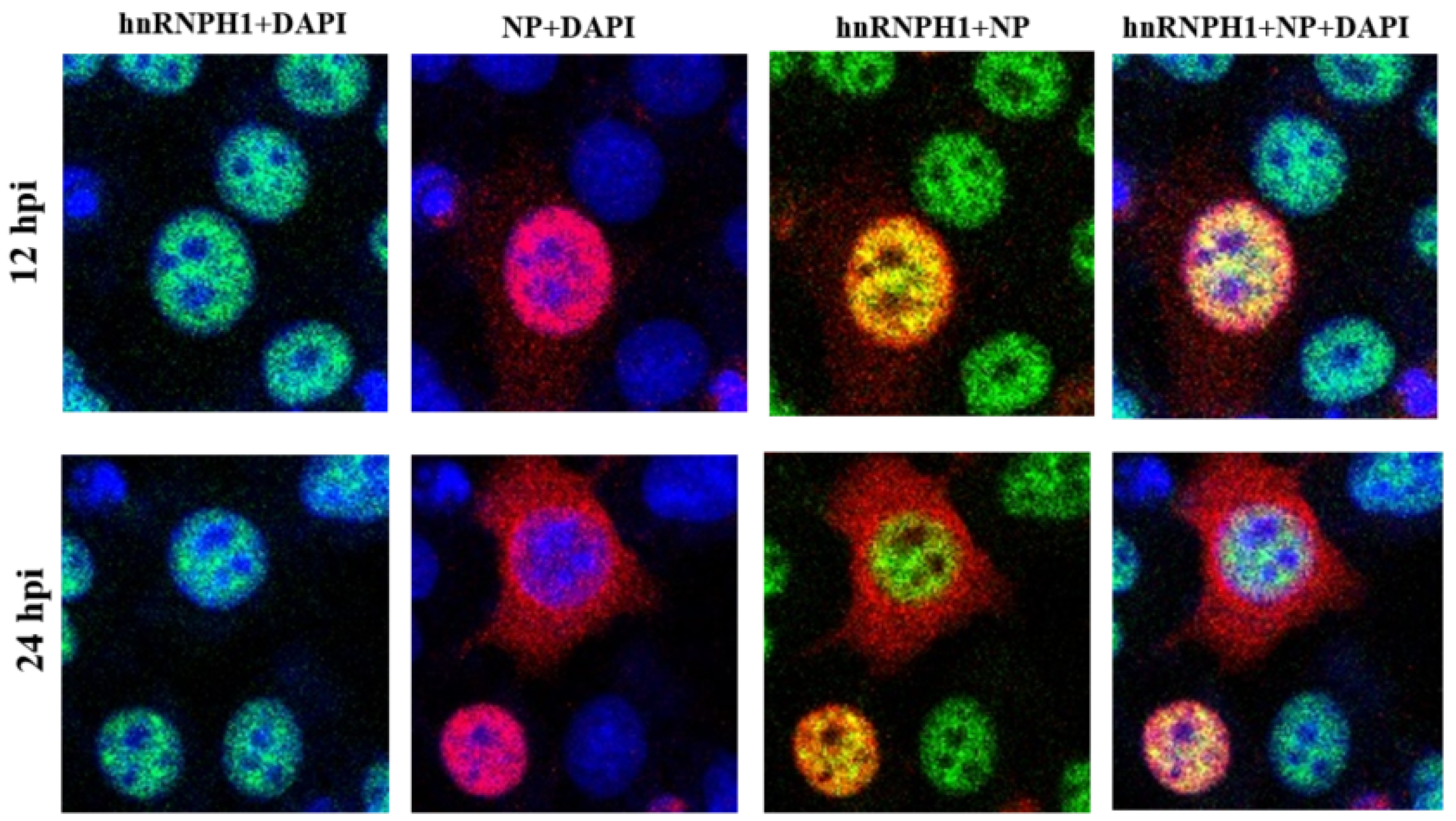 Microorganisms 13 00024 g002