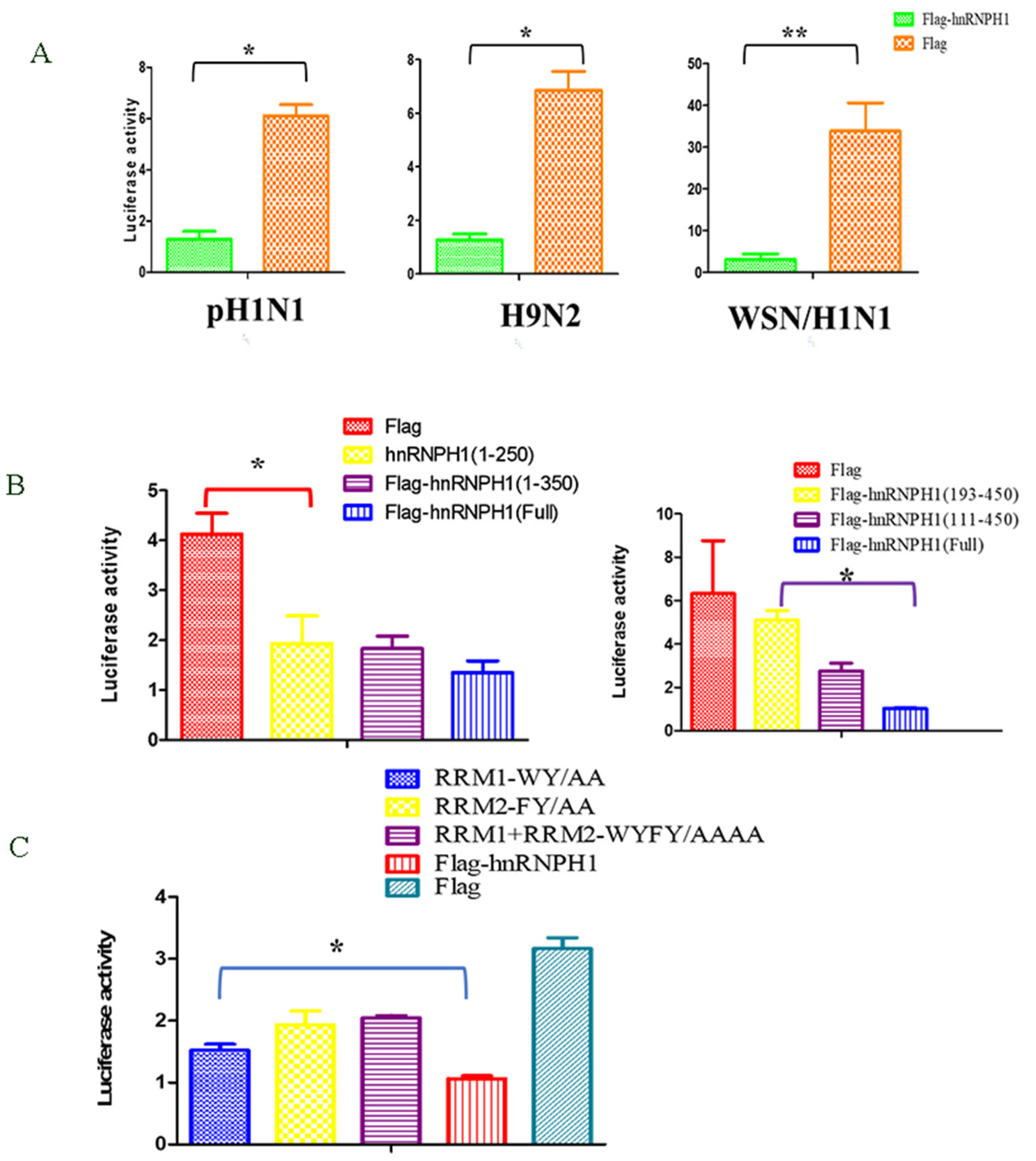 Microorganisms 13 00024 g003