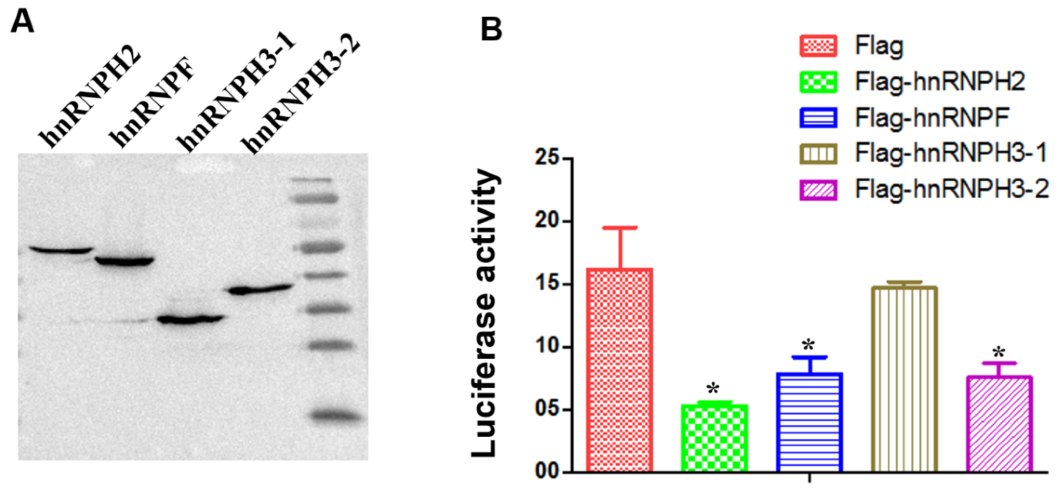 Microorganisms 13 00024 g005