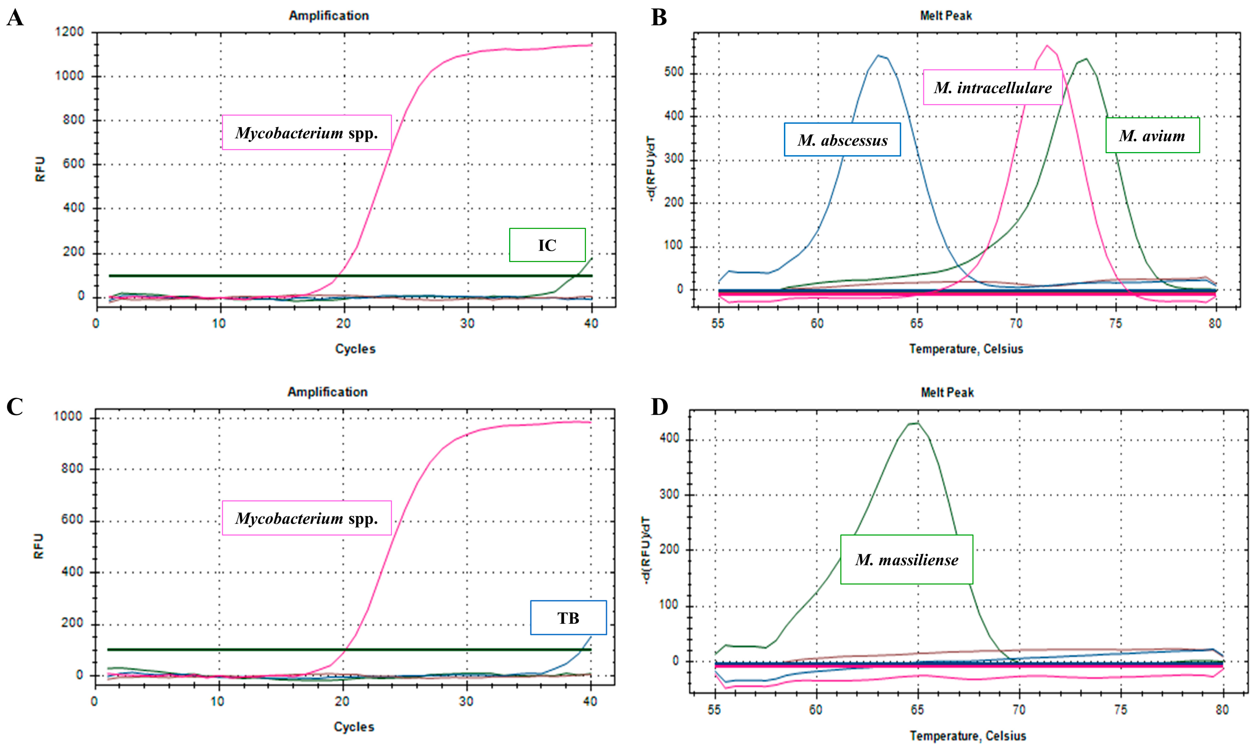Microorganisms 13 00026 g001