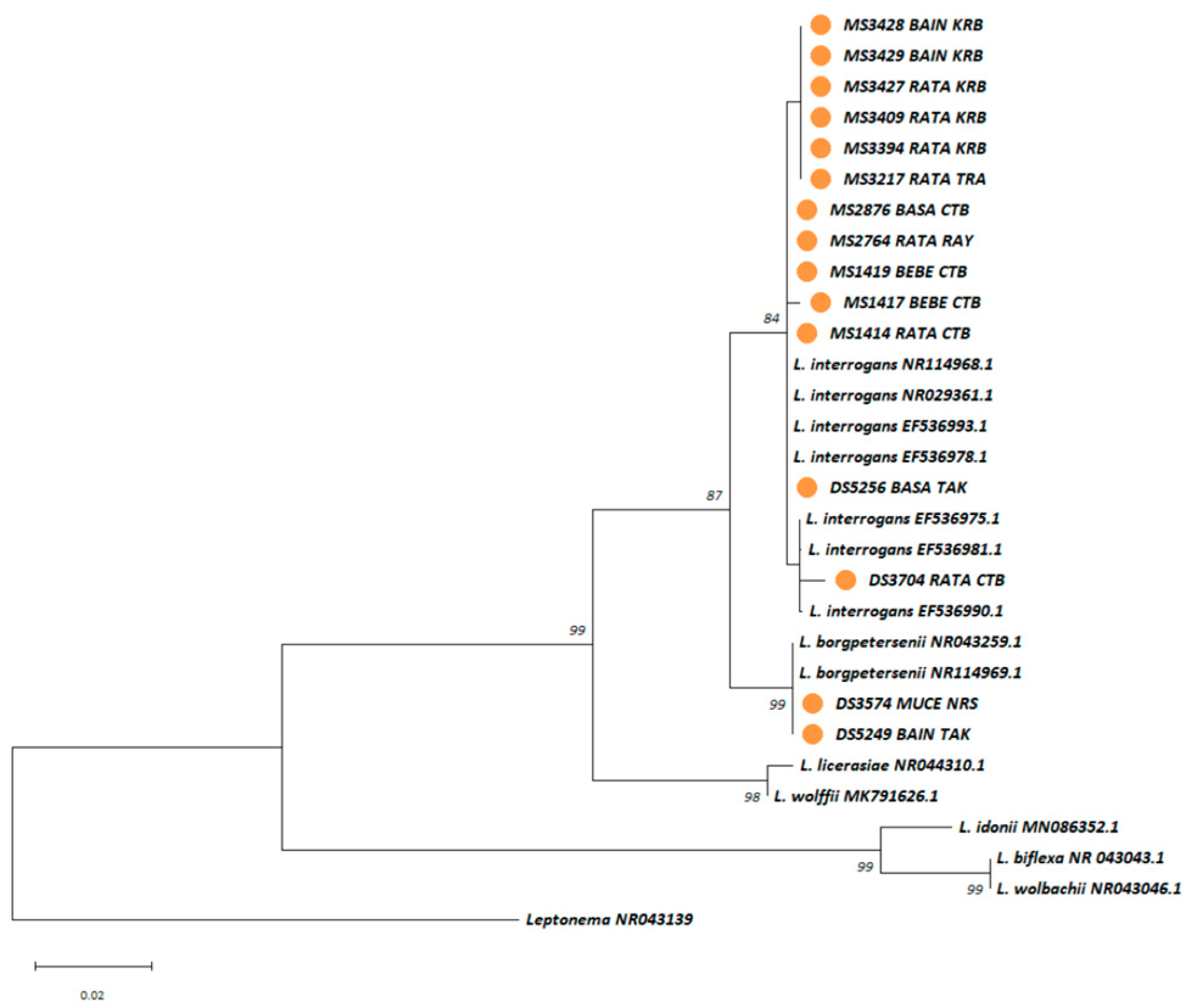 Microorganisms 13 00029 g005