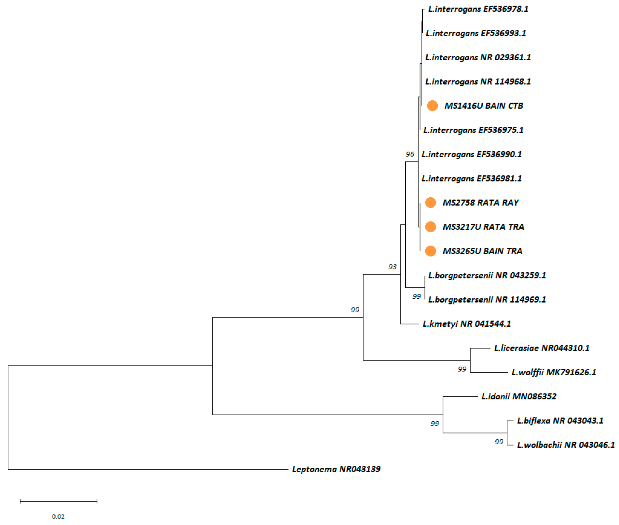 Microorganisms 13 00029 g006