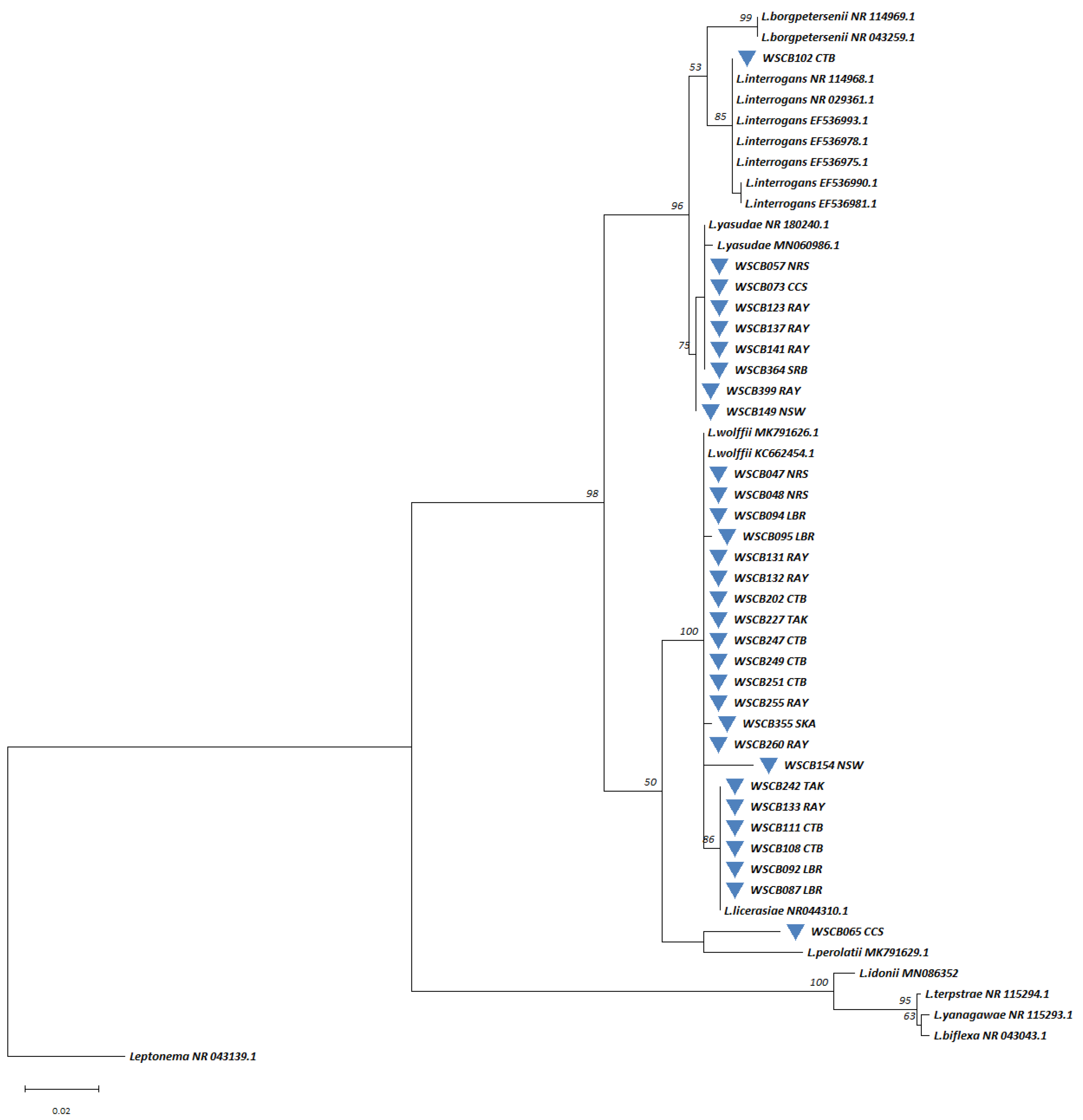 Microorganisms 13 00029 g008
