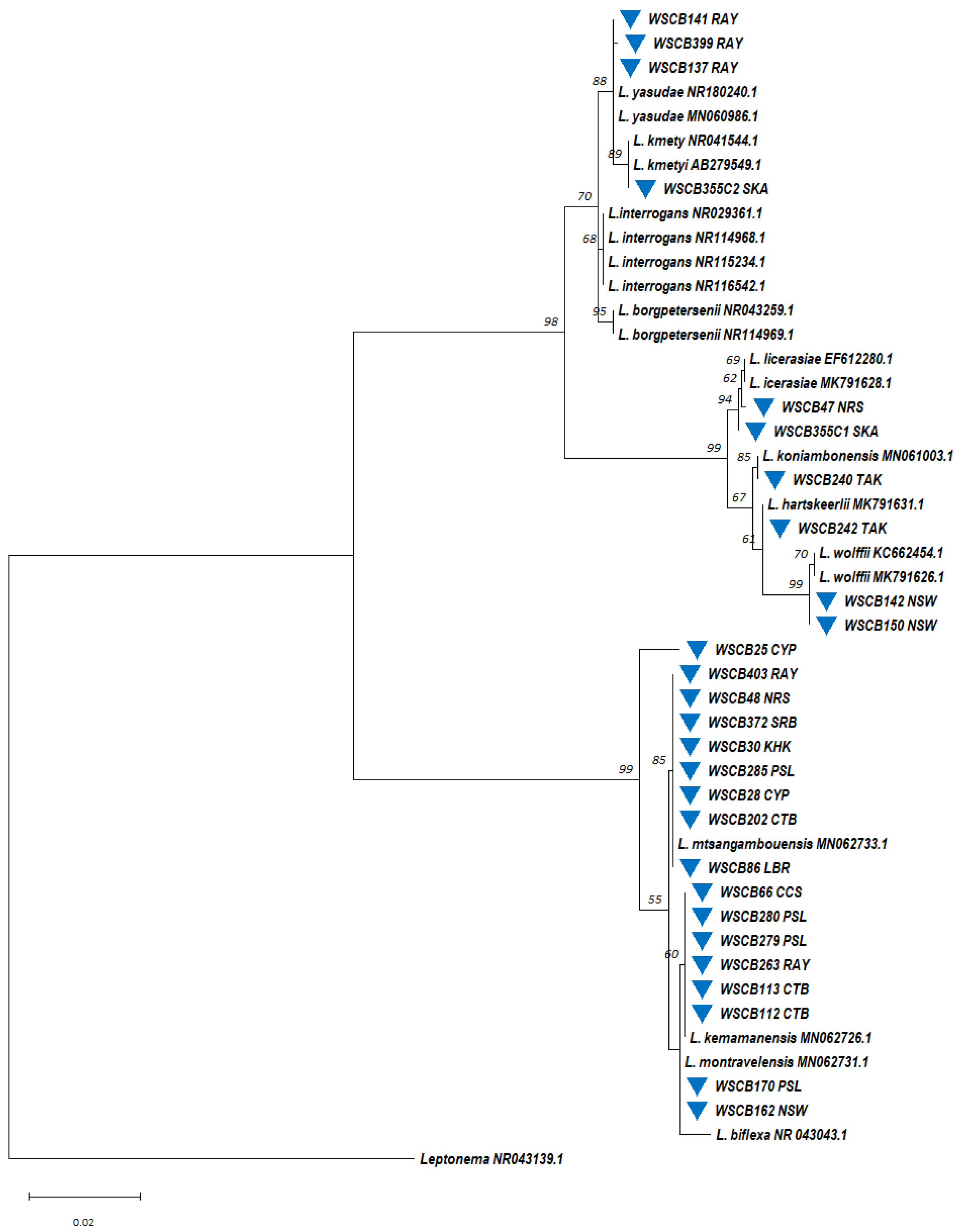 Microorganisms 13 00029 g010
