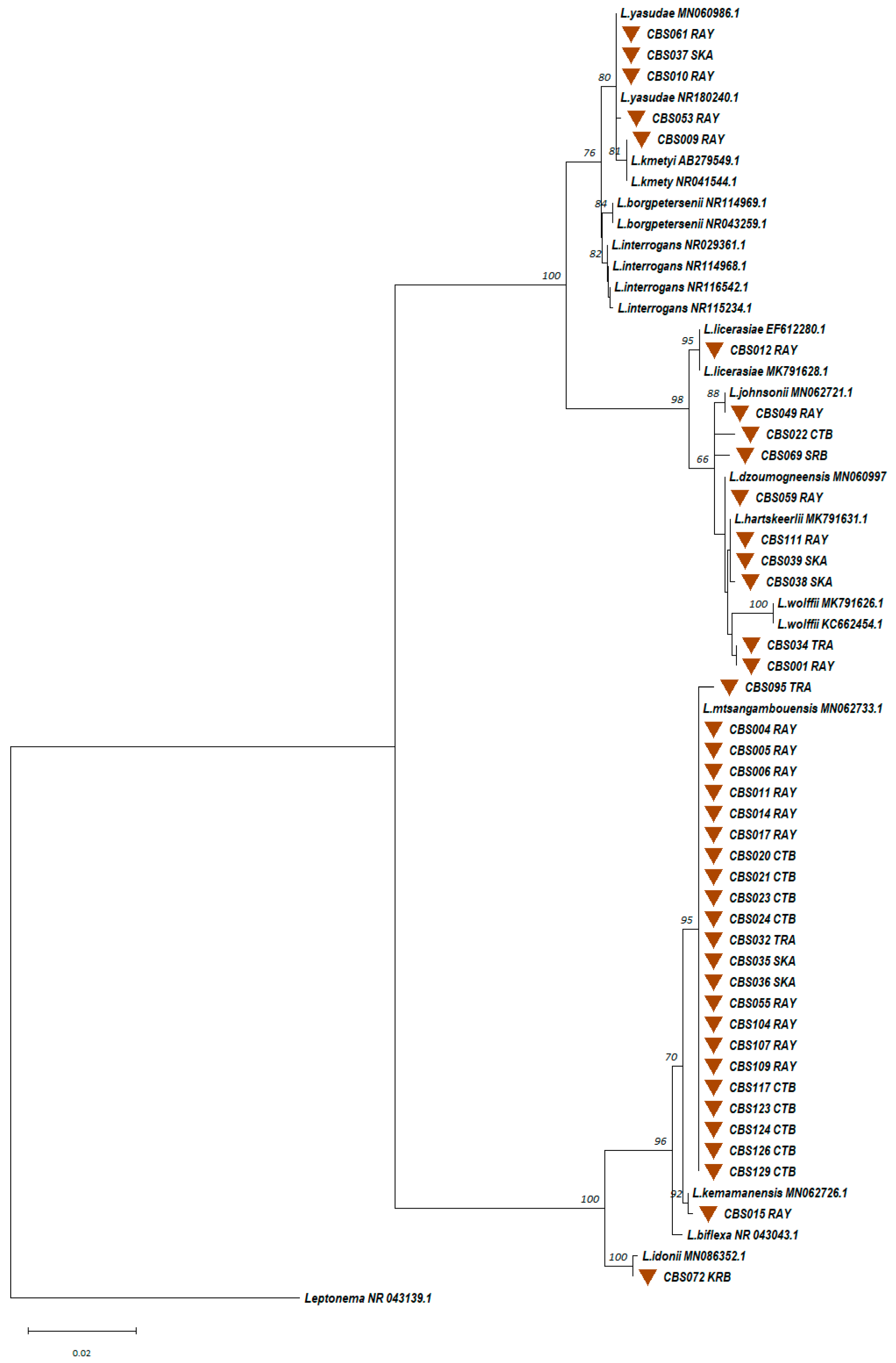 Microorganisms 13 00029 g011