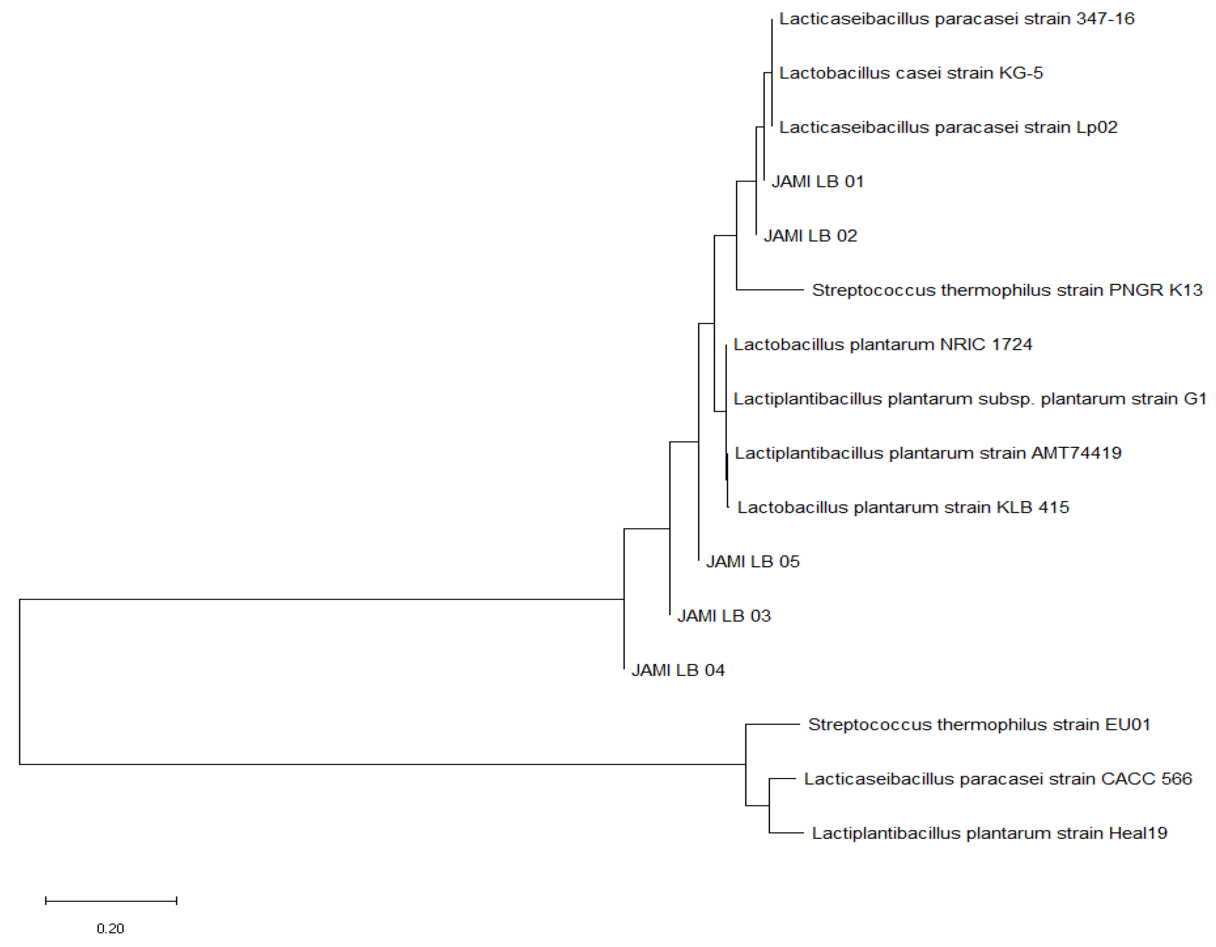 Microorganisms 13 00032 g001 Microorganisms 13 00032 g001