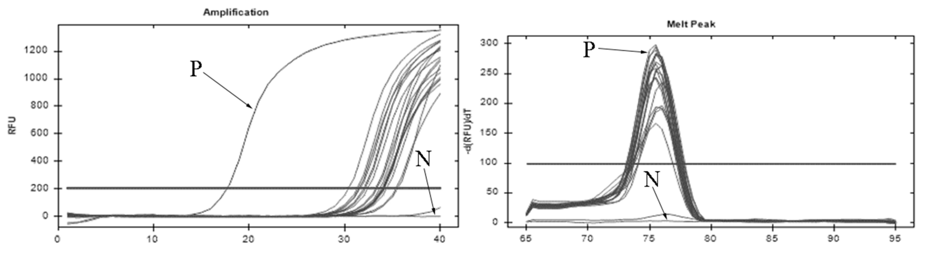 Microorganisms 13 00038 g003 Microorganisms 13 00038 g003