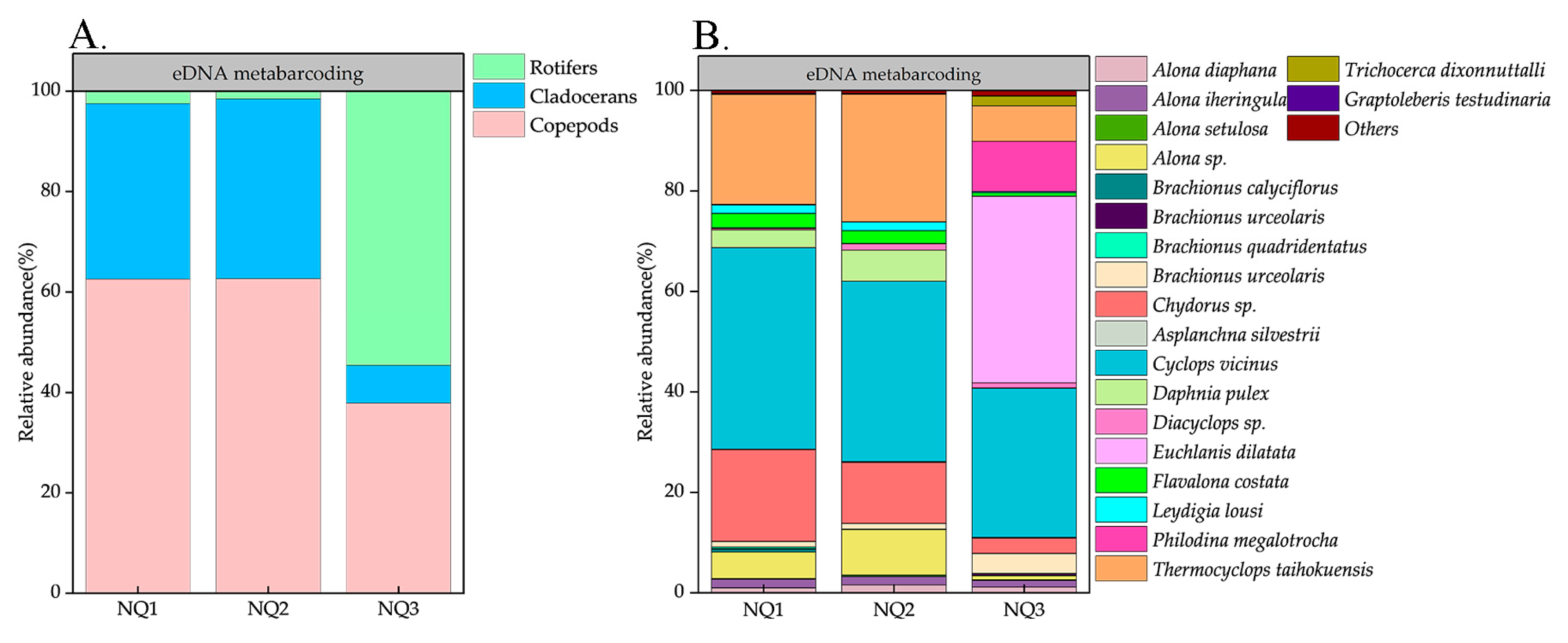 Microorganisms 13 00038 g004 Microorganisms 13 00038 g004