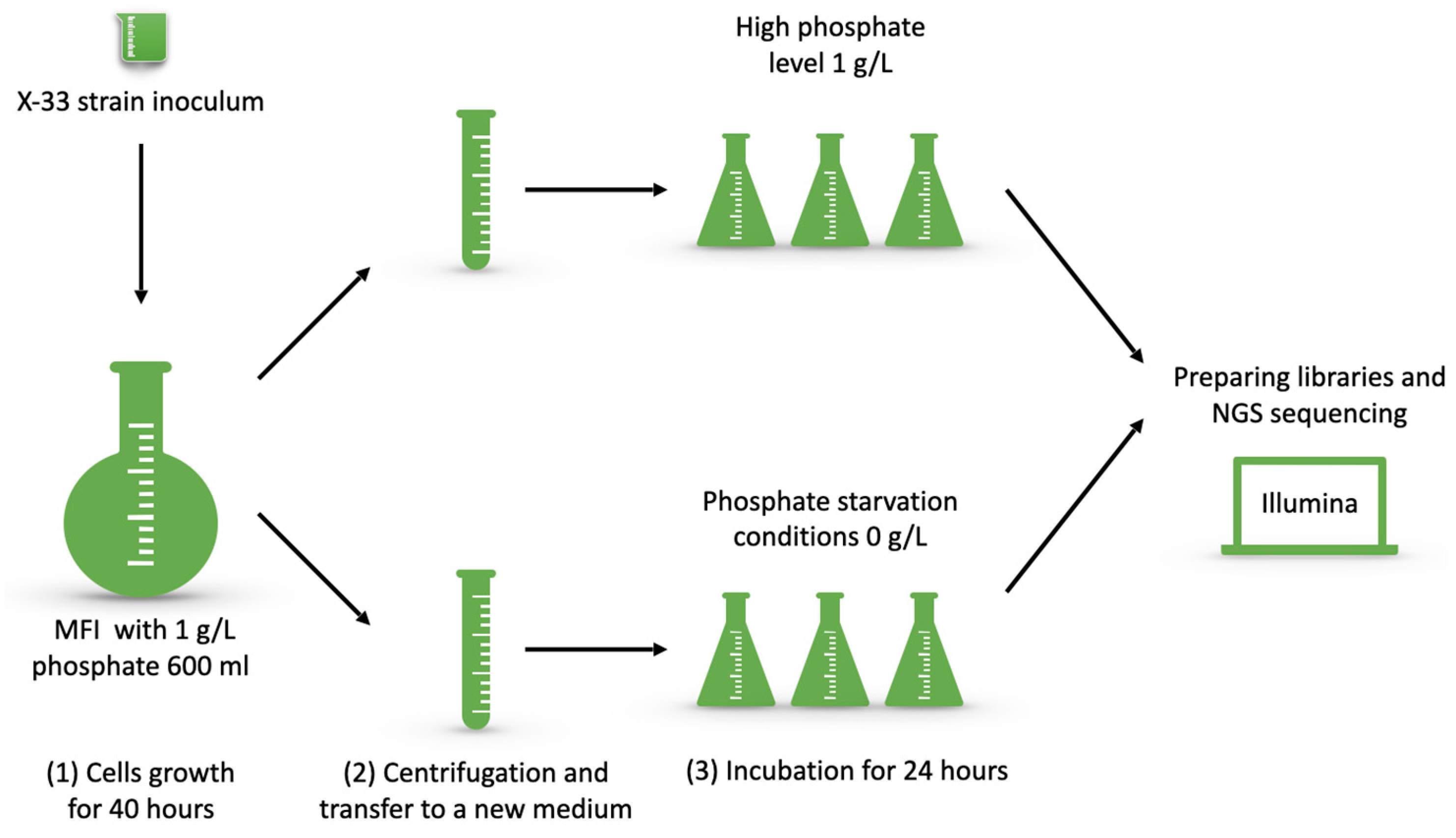 Microorganisms 13 00039 g001
