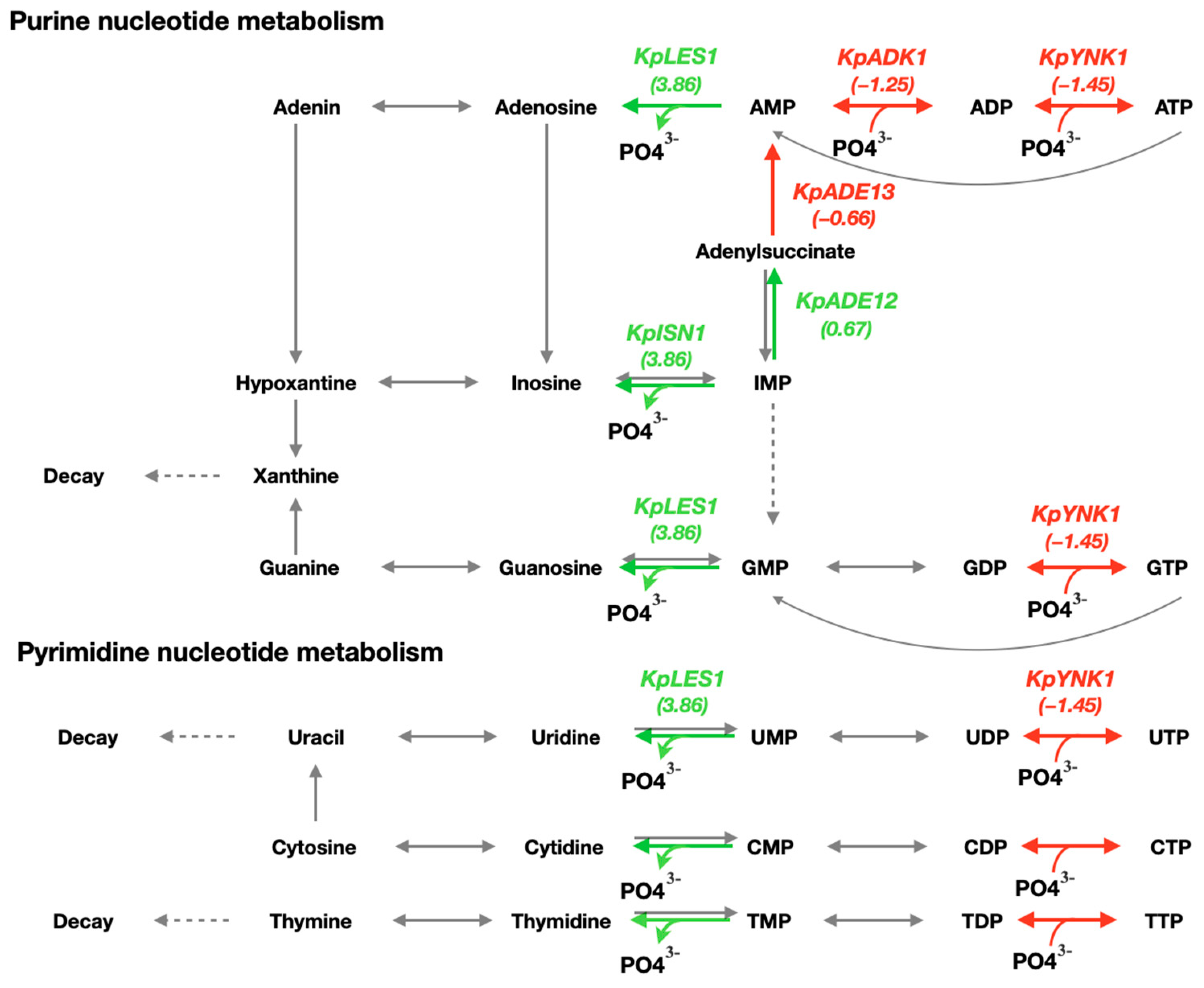 Microorganisms 13 00039 g005