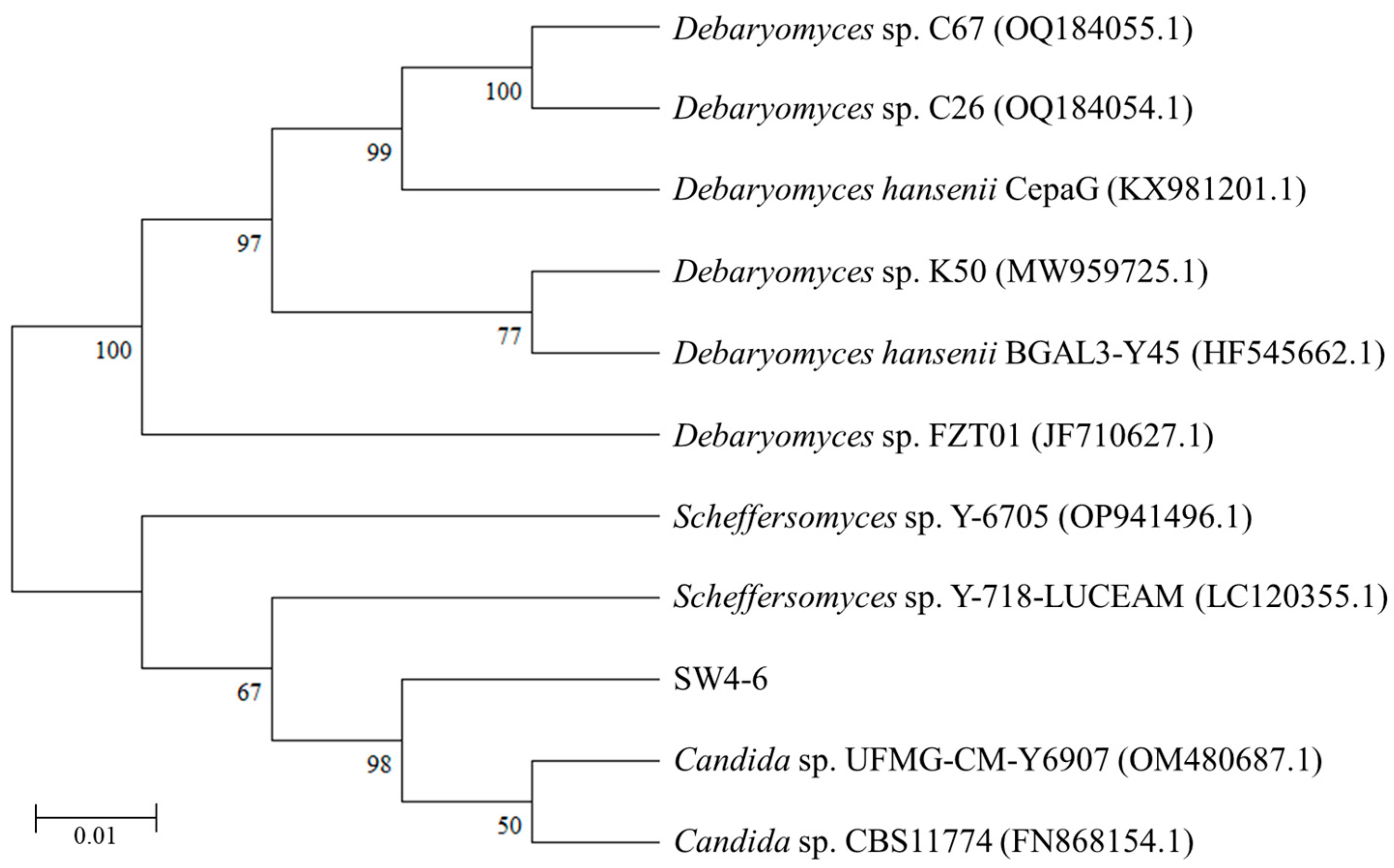 Microorganisms 13 00042 g004