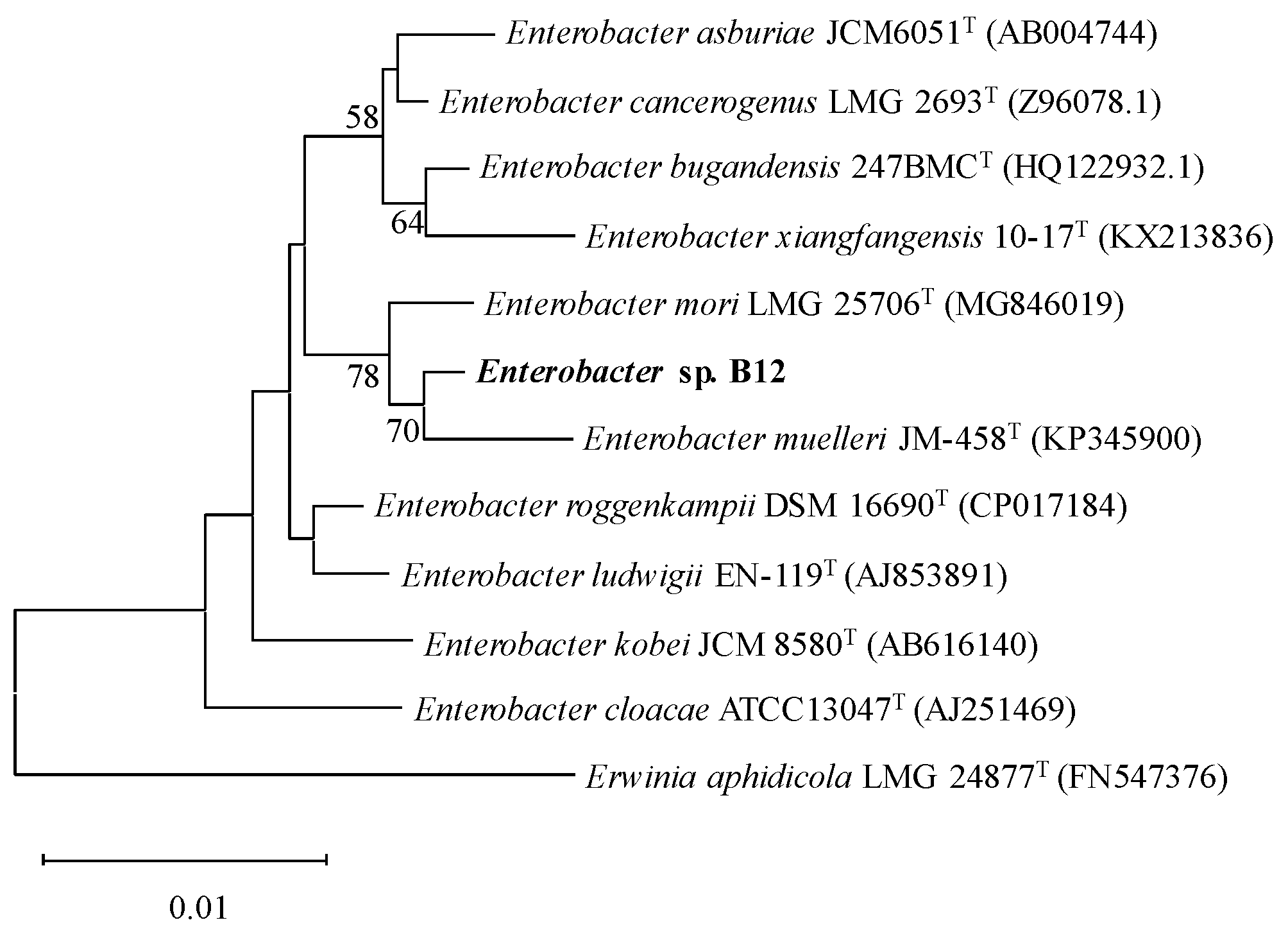 Microorganisms 13 00043 g001