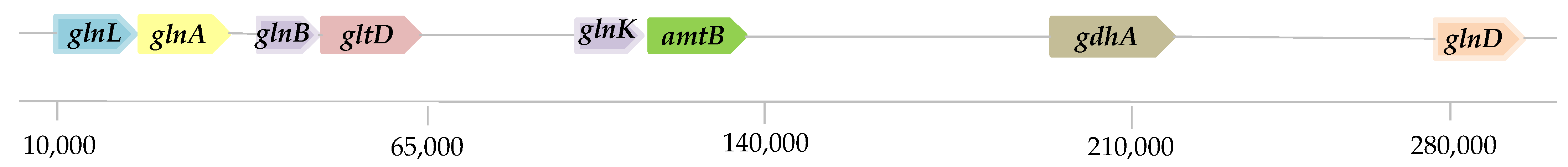 Microorganisms 13 00043 g005