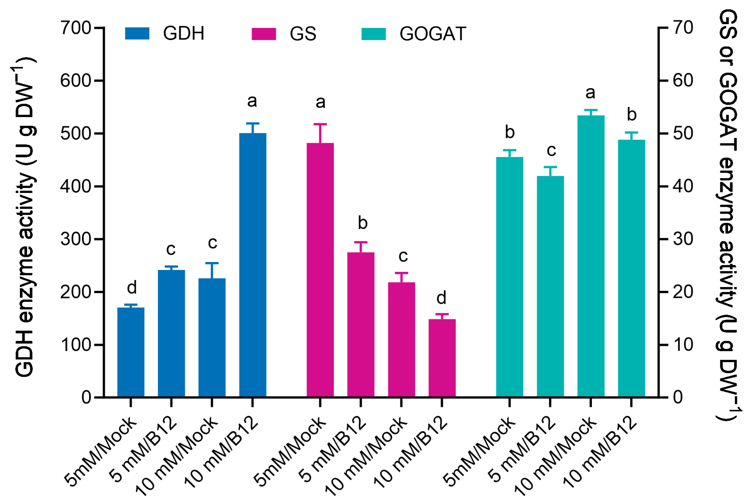 Microorganisms 13 00043 g010
